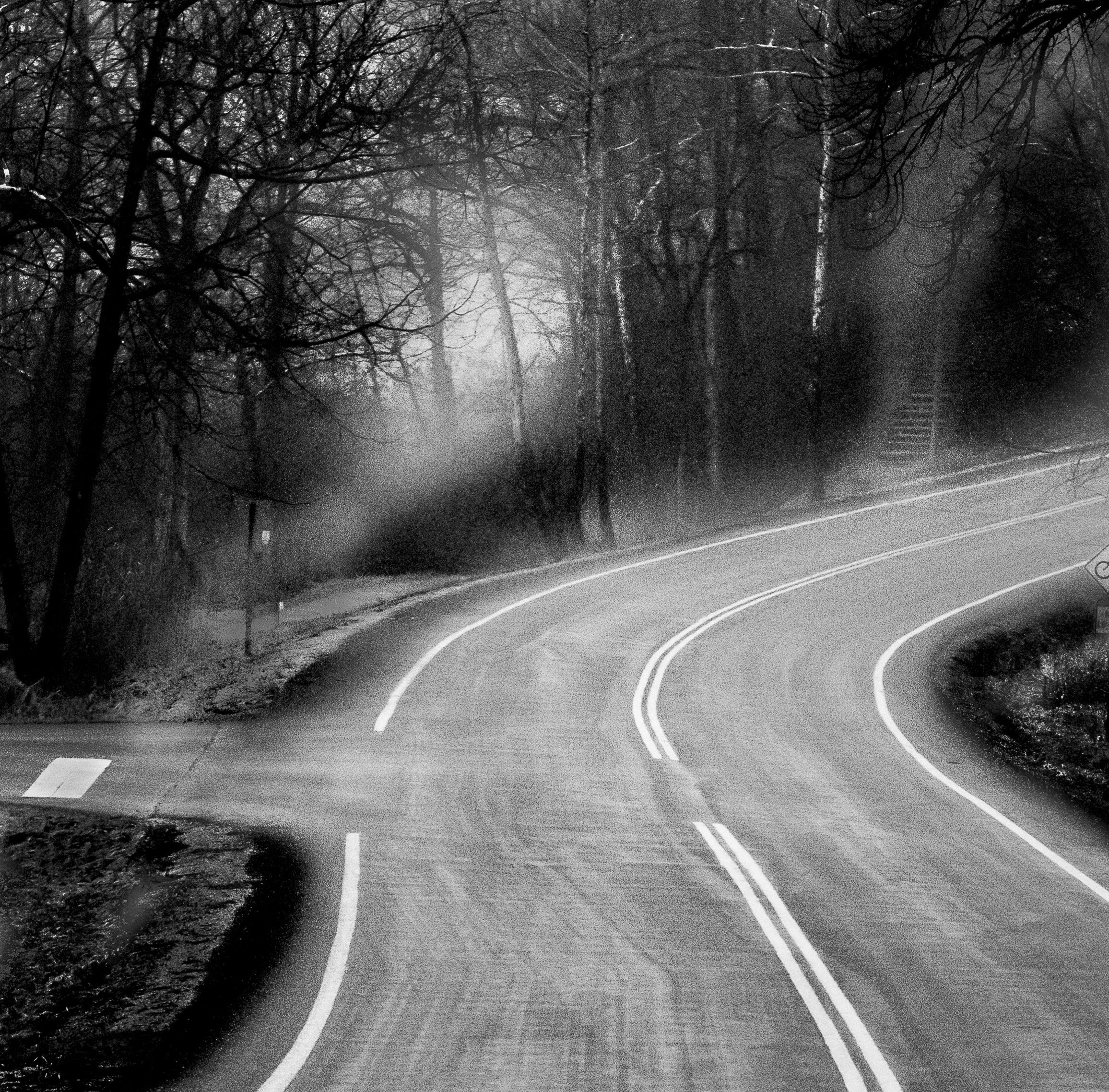 Gentle curves and drifting fog create a sense of mystery and calm.