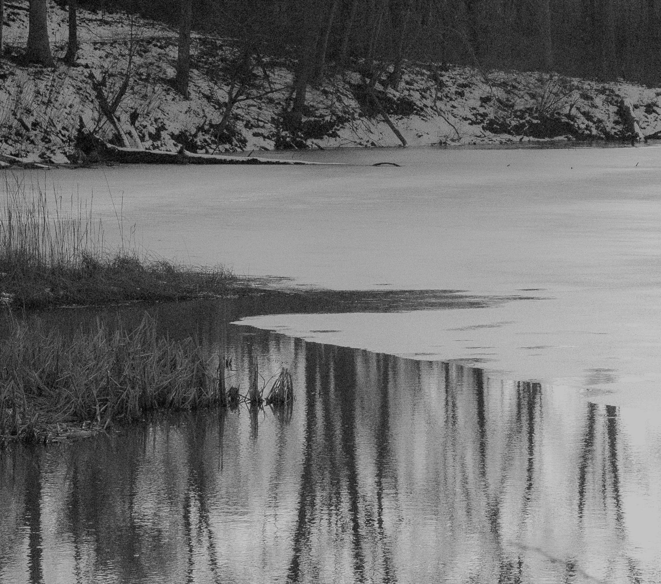 Black and white pond with gentle reflections along a winter shoreline.