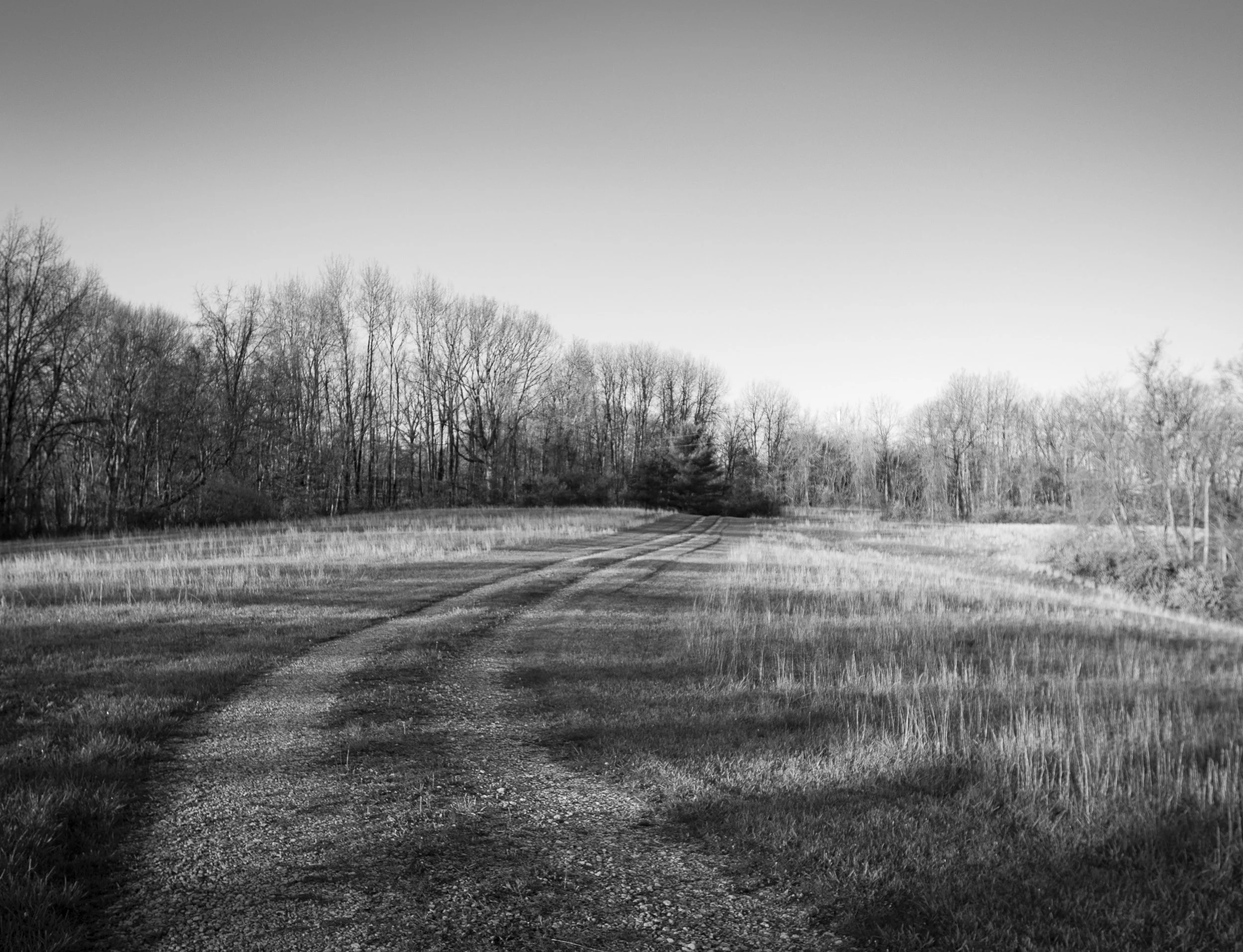 Open fields and gentle curves create a landscape filled with calm and possibility.