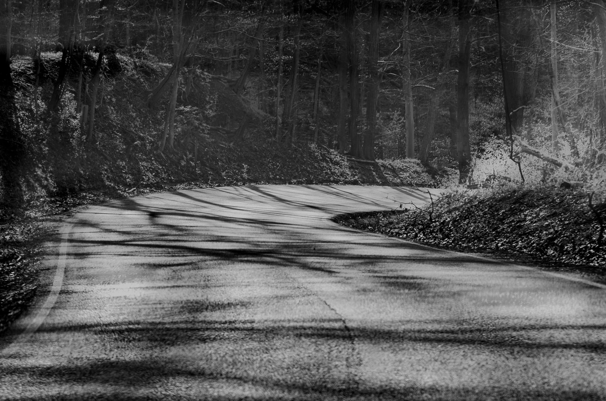 Bands of light and shadow create rhythmic patterns across the roadway.