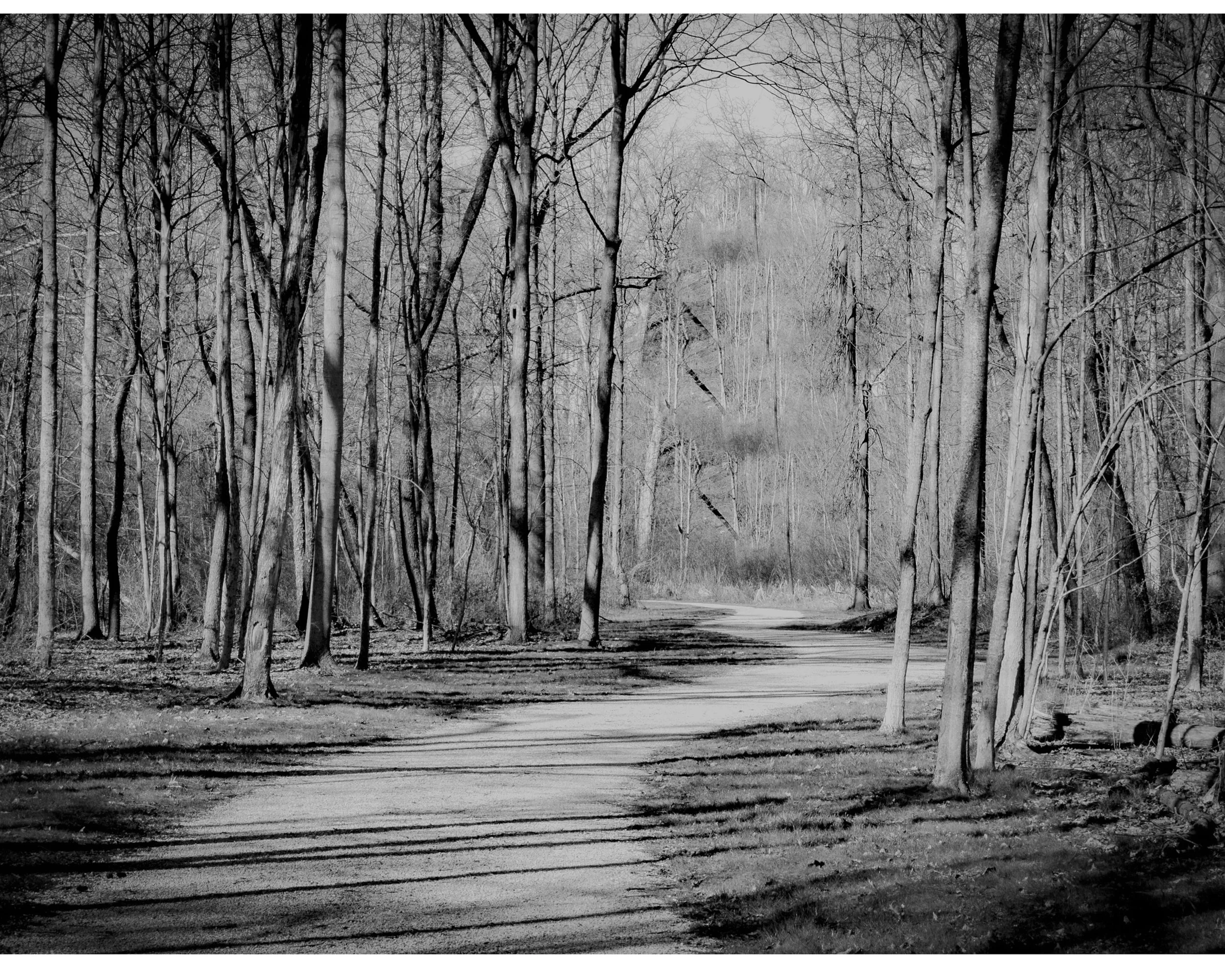 CuyahogaFallsTrail1.jpg