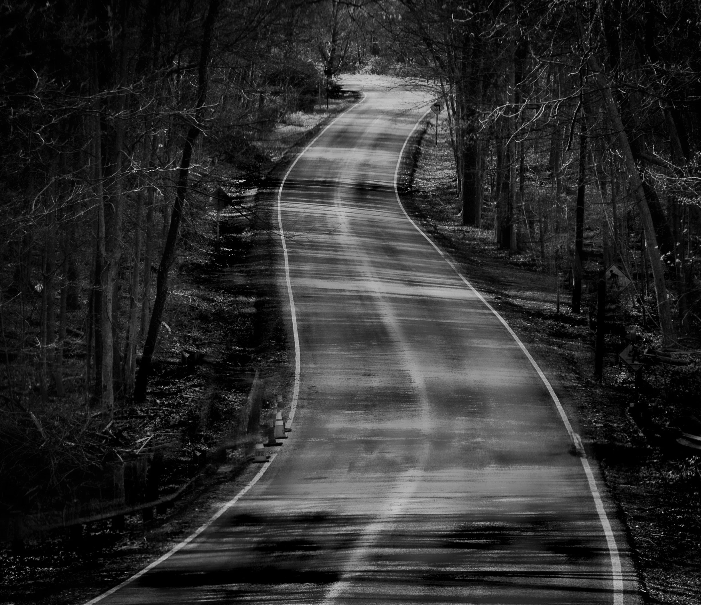 A quiet road climbs gently through the trees, drawing the eye toward what lies beyond the next hill.