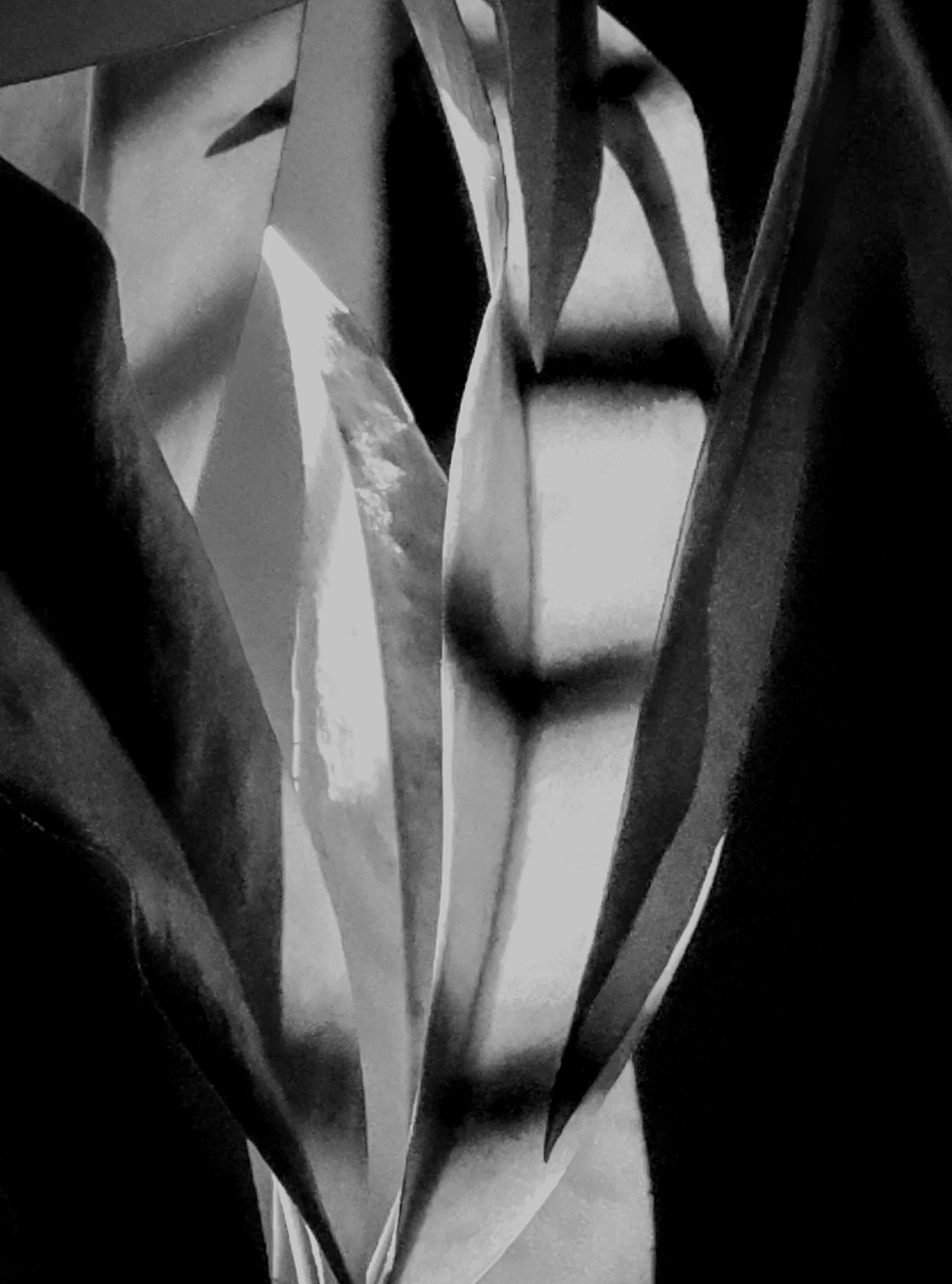 Light and shadow reshape a familiar leaf into an abstract composition, revealing simple forms that often go unnoticed in the natural world.