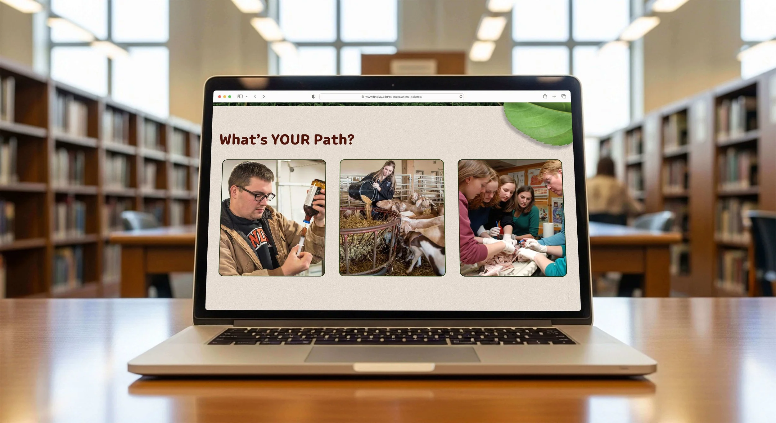 Path-Mockup.jpg