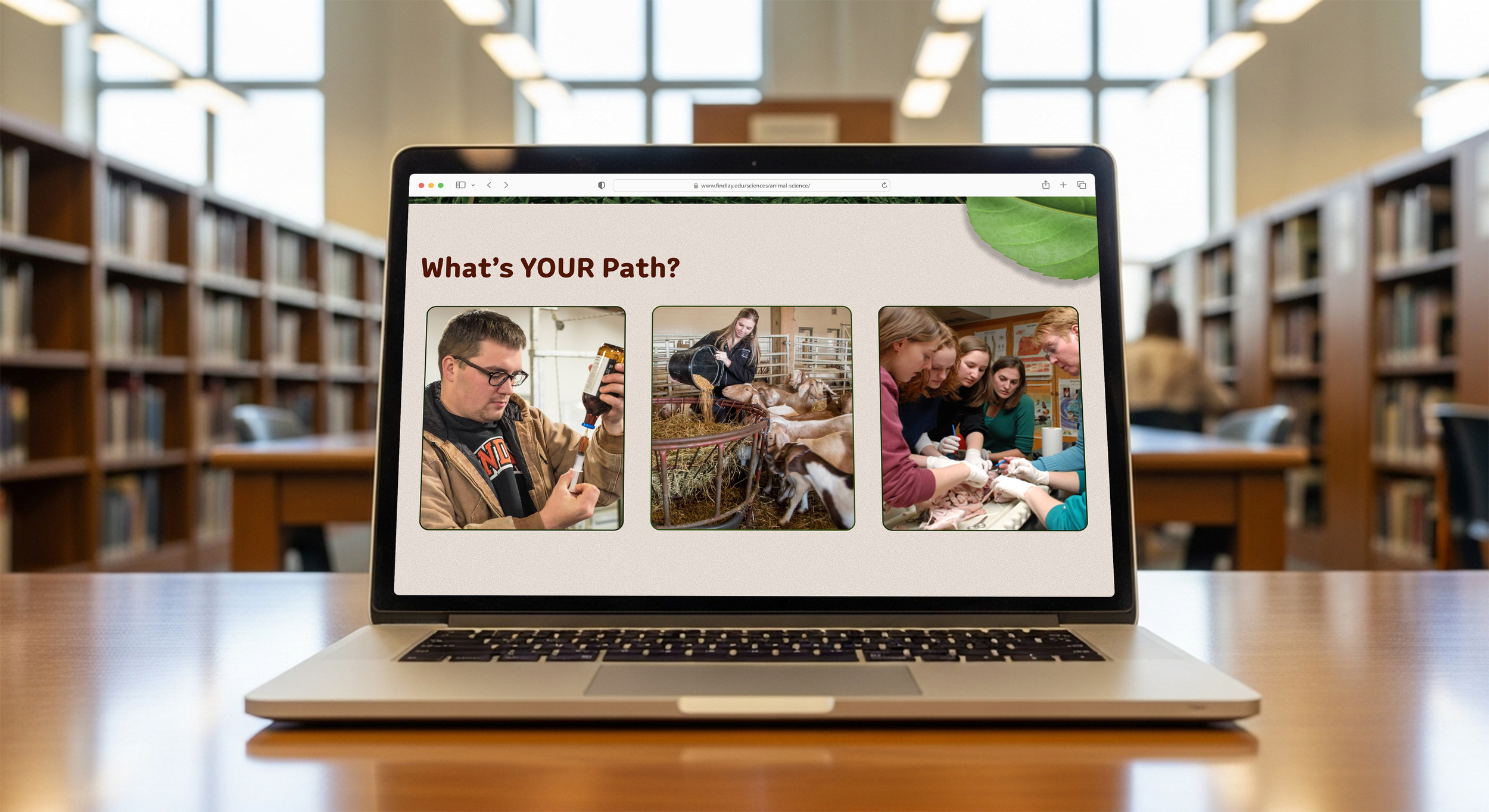 Findlay University Animal Science Program Redesign