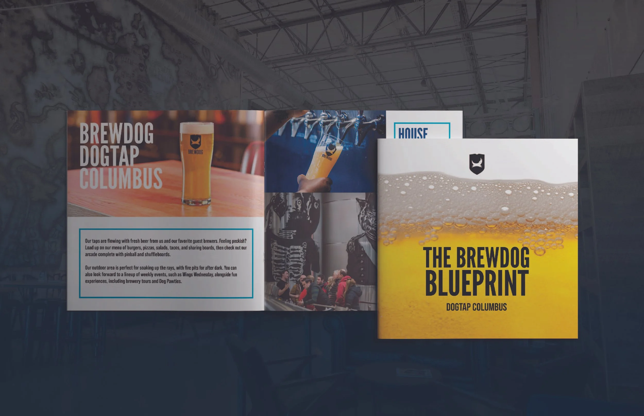 Brewdog Brand Extension