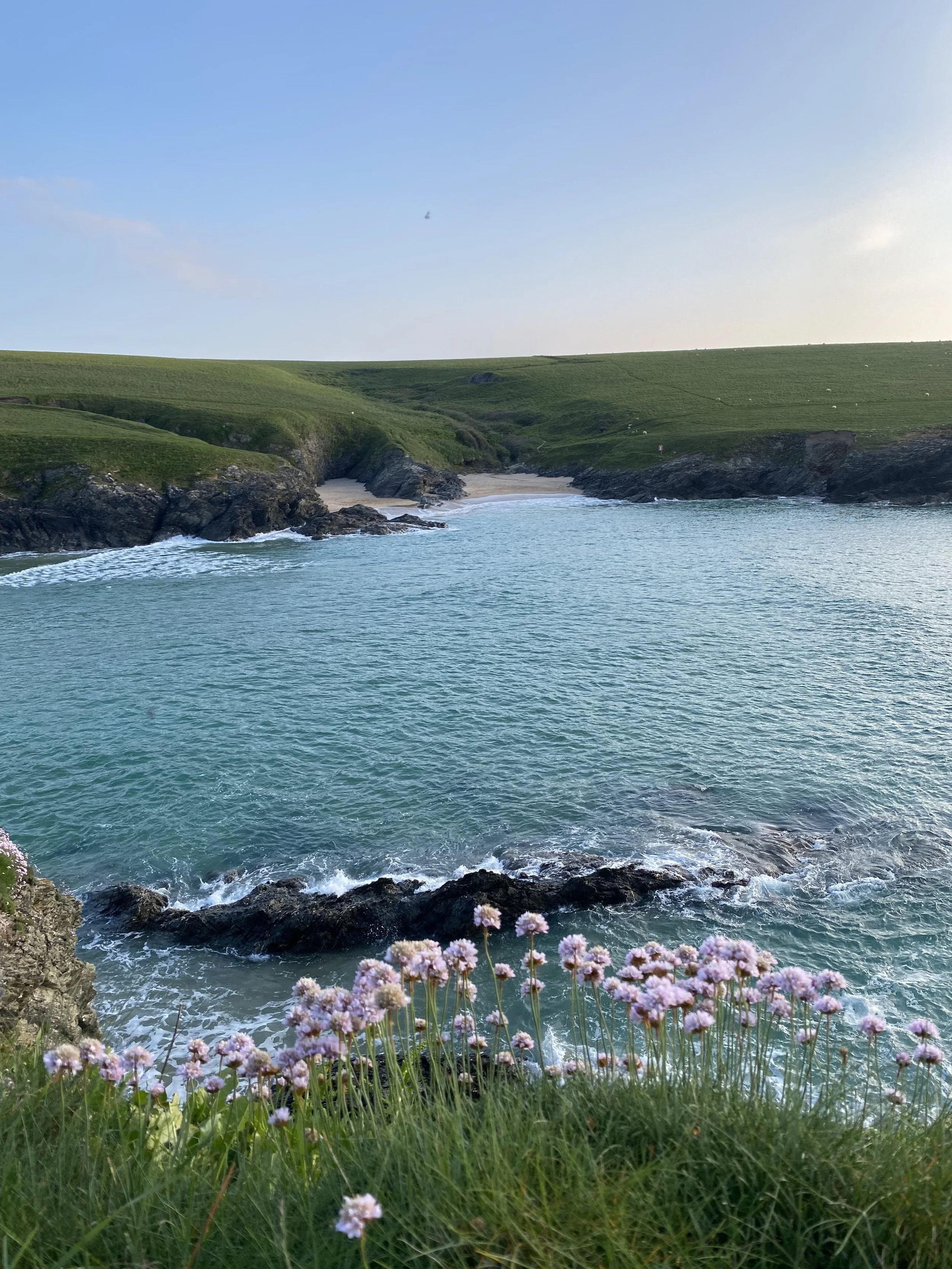 Newquay Wild Women Walk - June 7