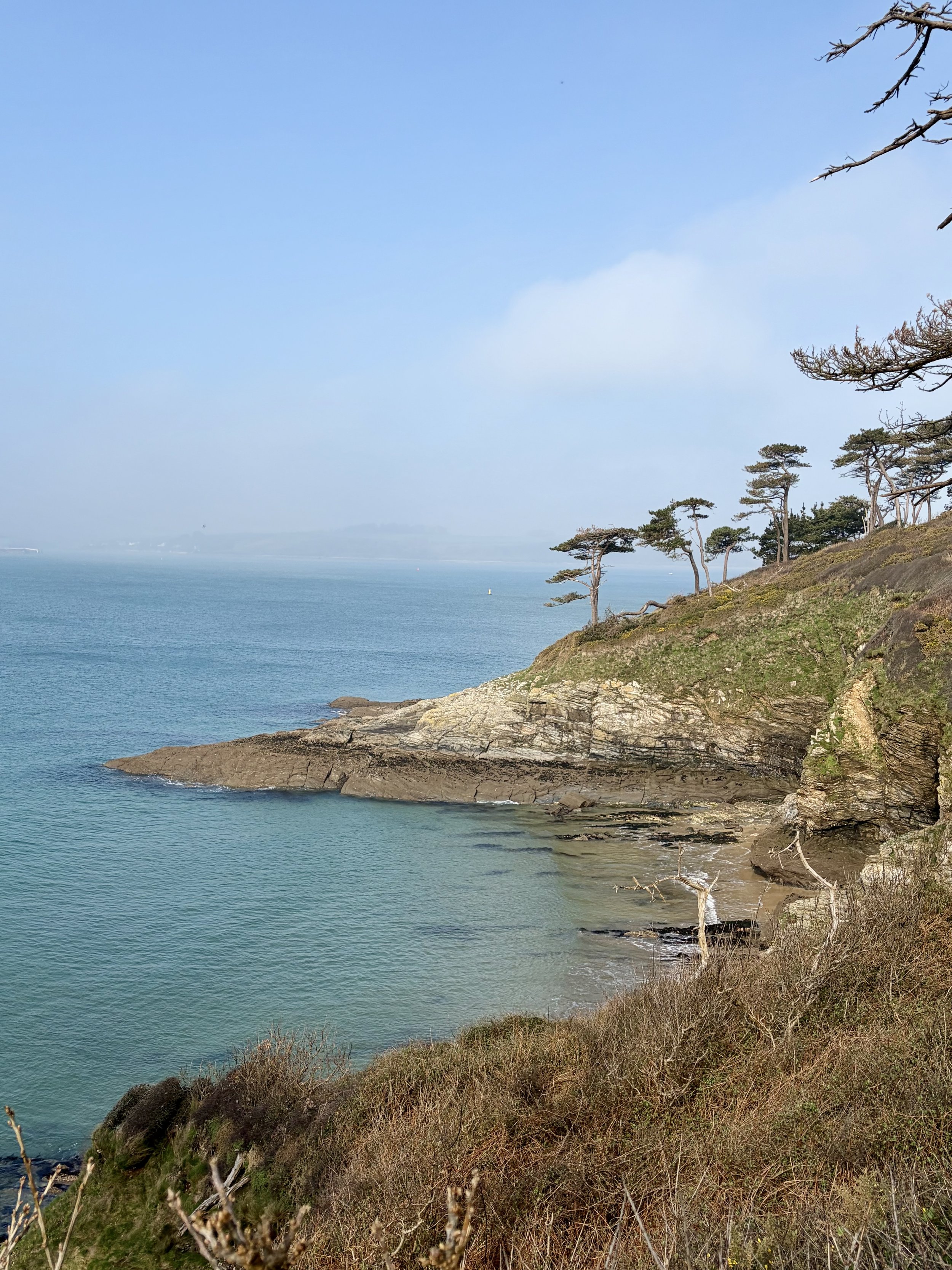 Roseland Wild Women Walk | Sunday 12th July