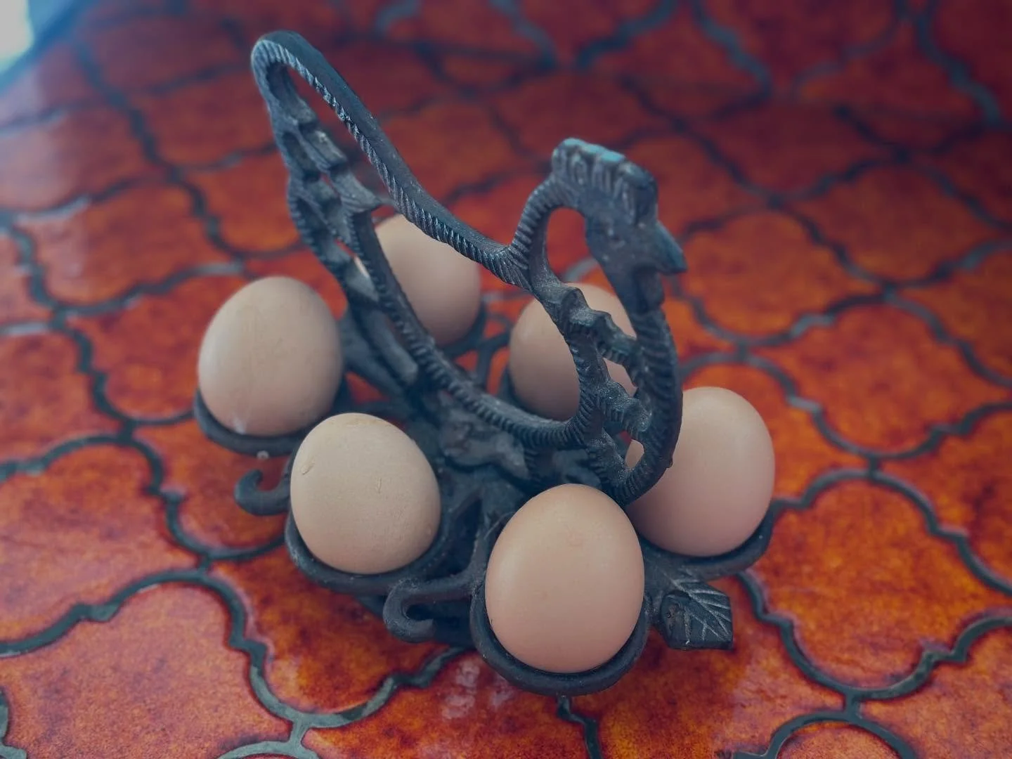 Clos de Gaye chickens finally providing a decent ROI 😆 

#ROI #chickens #hens #eggs