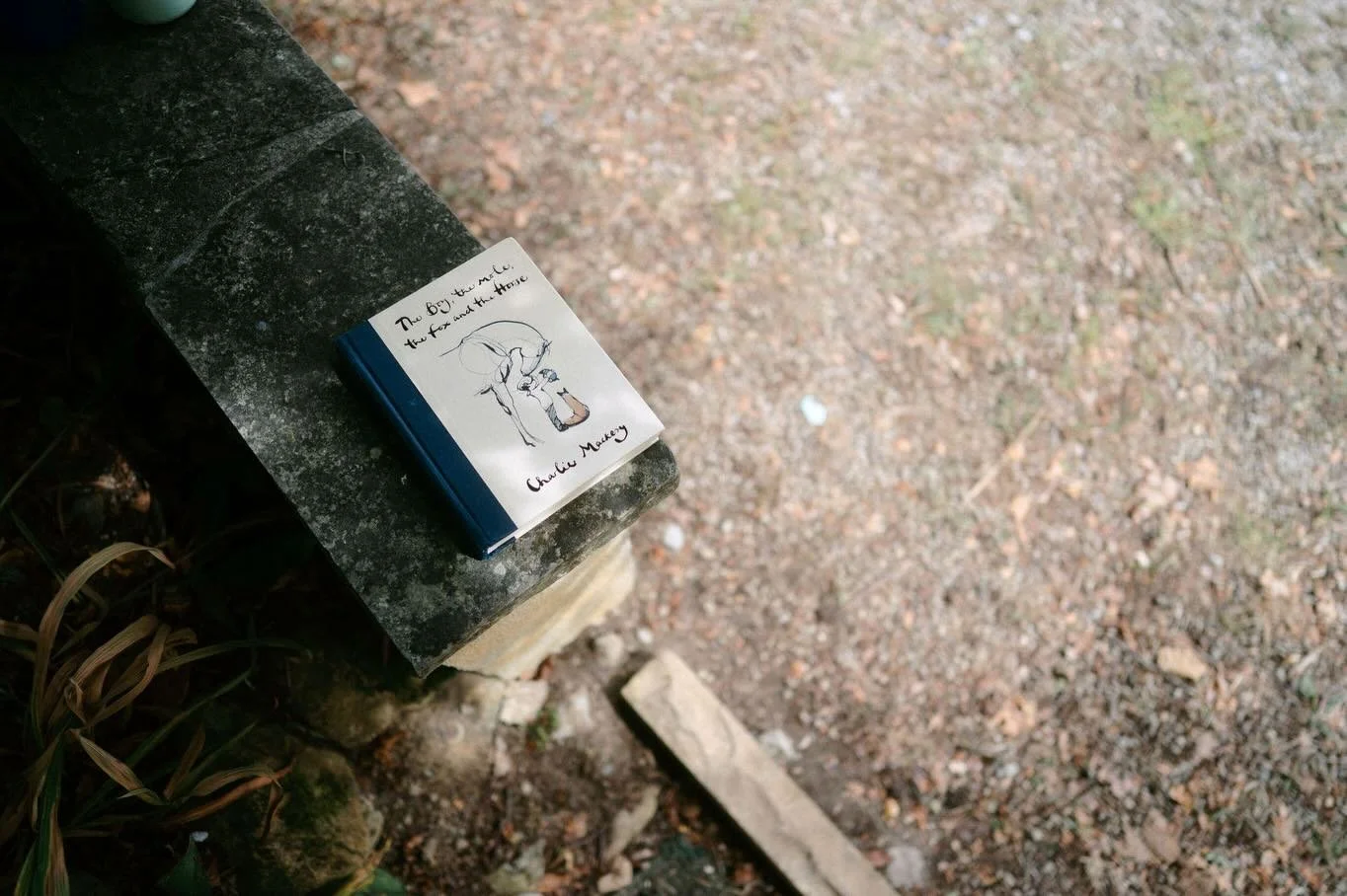 Literature, reading and writing, are such an important part of life at Clos de Gaye. We often leave a curated selection of books on the bed for our visitors and give them full access to our extensive library, as well as create time and space for peop