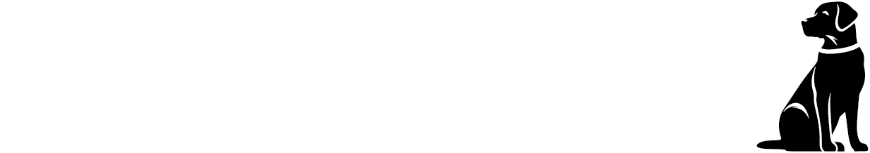 Black and white logo with the words 'LUMEN LEADERSHIP STRATEGIES' and a line drawing of a sitting dog on the right.