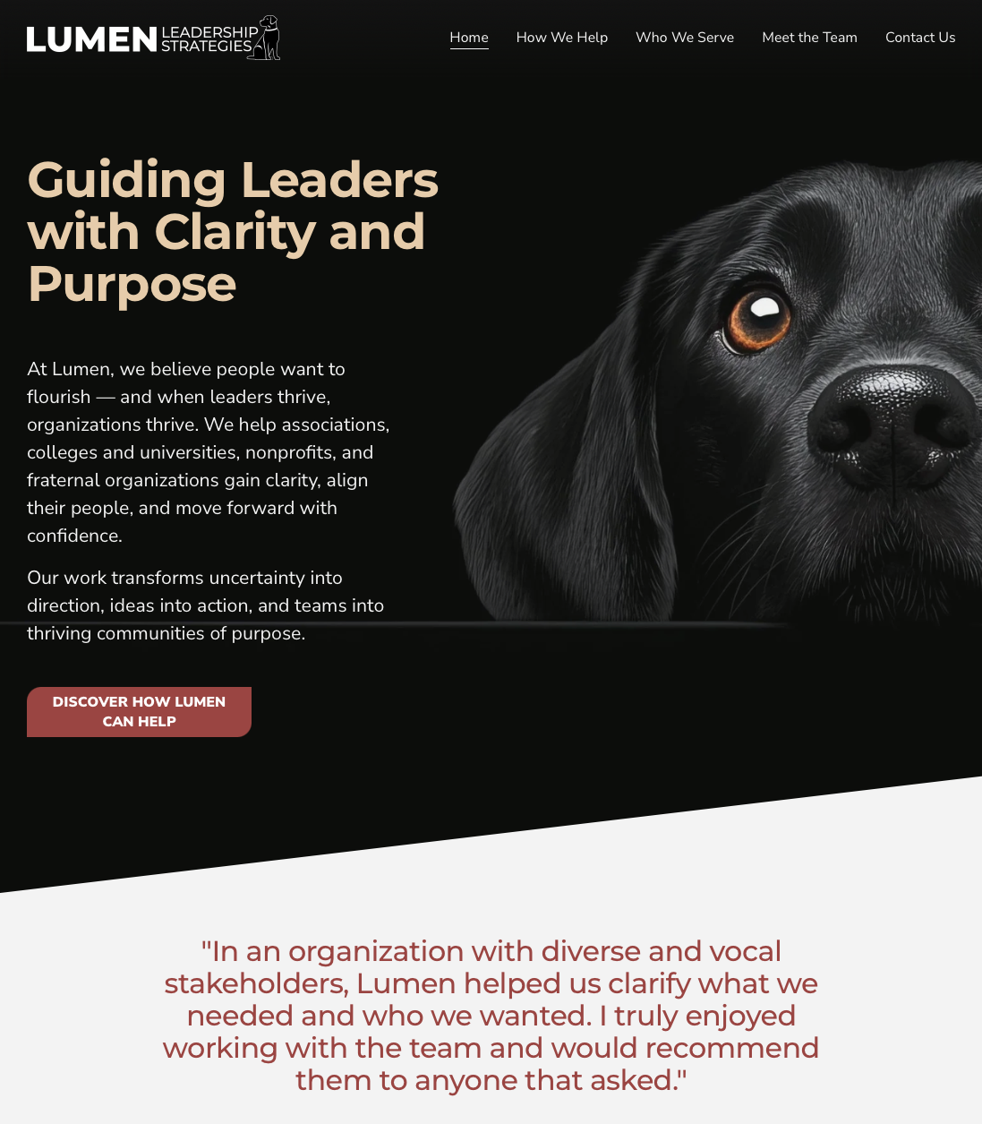 A black dog with brown eyes and a shiny nose, next to a website homepage for Lumen Leadership Strategies, featuring a headline and text about guiding leaders with clarity and purpose.