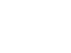 Nikon email case study