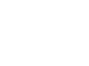 Hallmark Baby case study