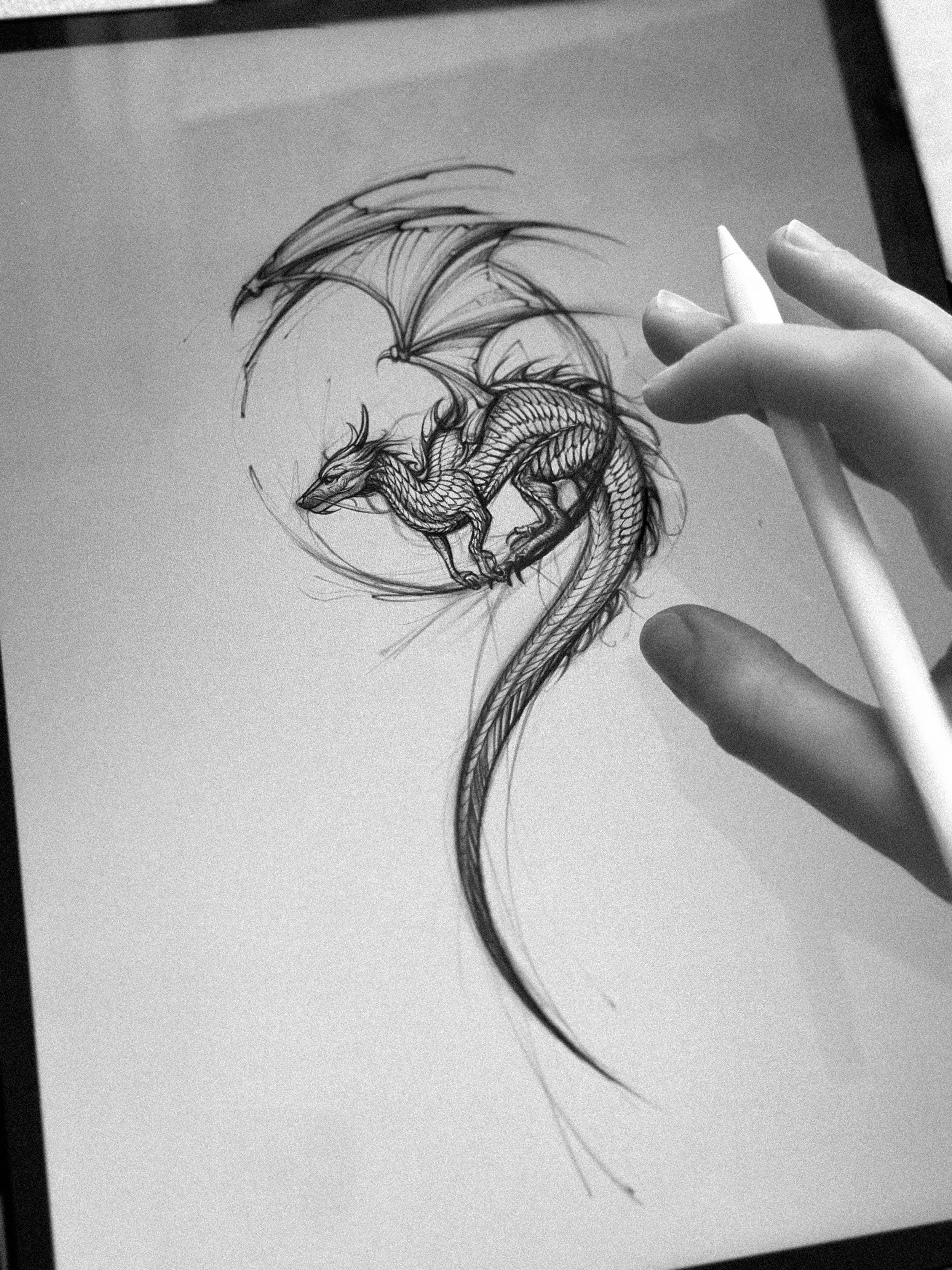 A digital drawing of a dragon with large wings, detailed scales, and a long, winding tail, being sketched with a stylus on a tablet screen.