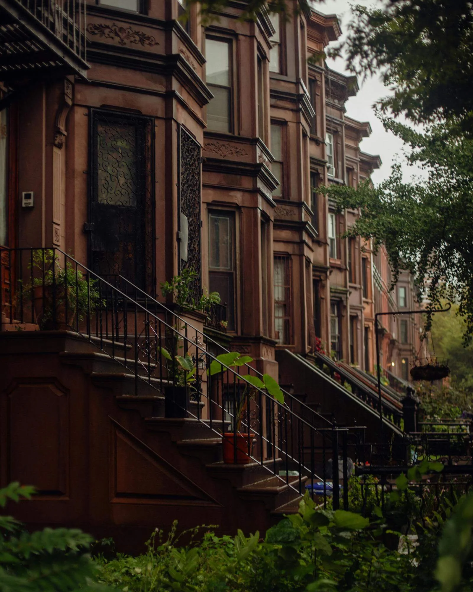 tree lined street with brownstones NYC