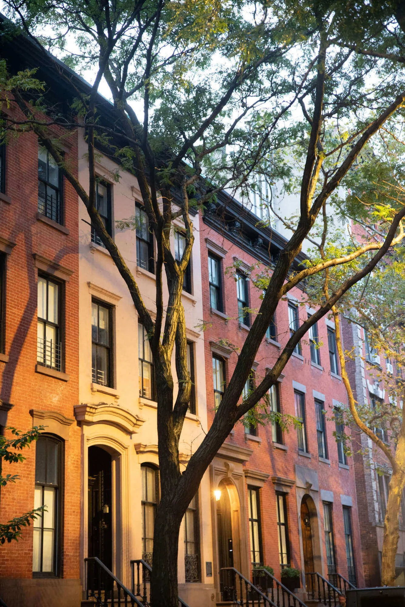 tree lined street with brownstones