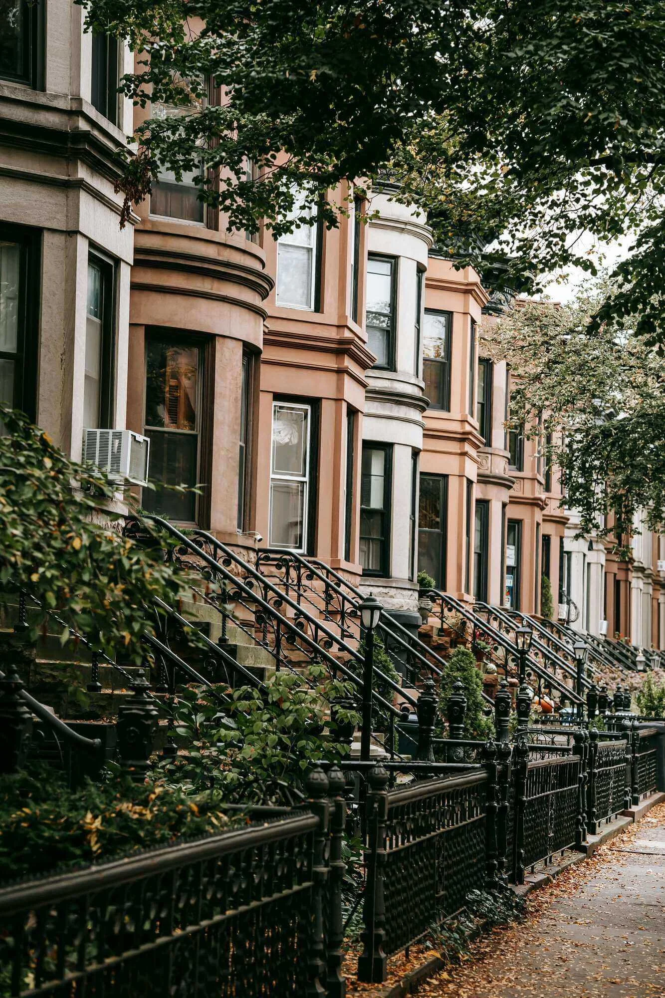 tree lined street with brownstones NYC
