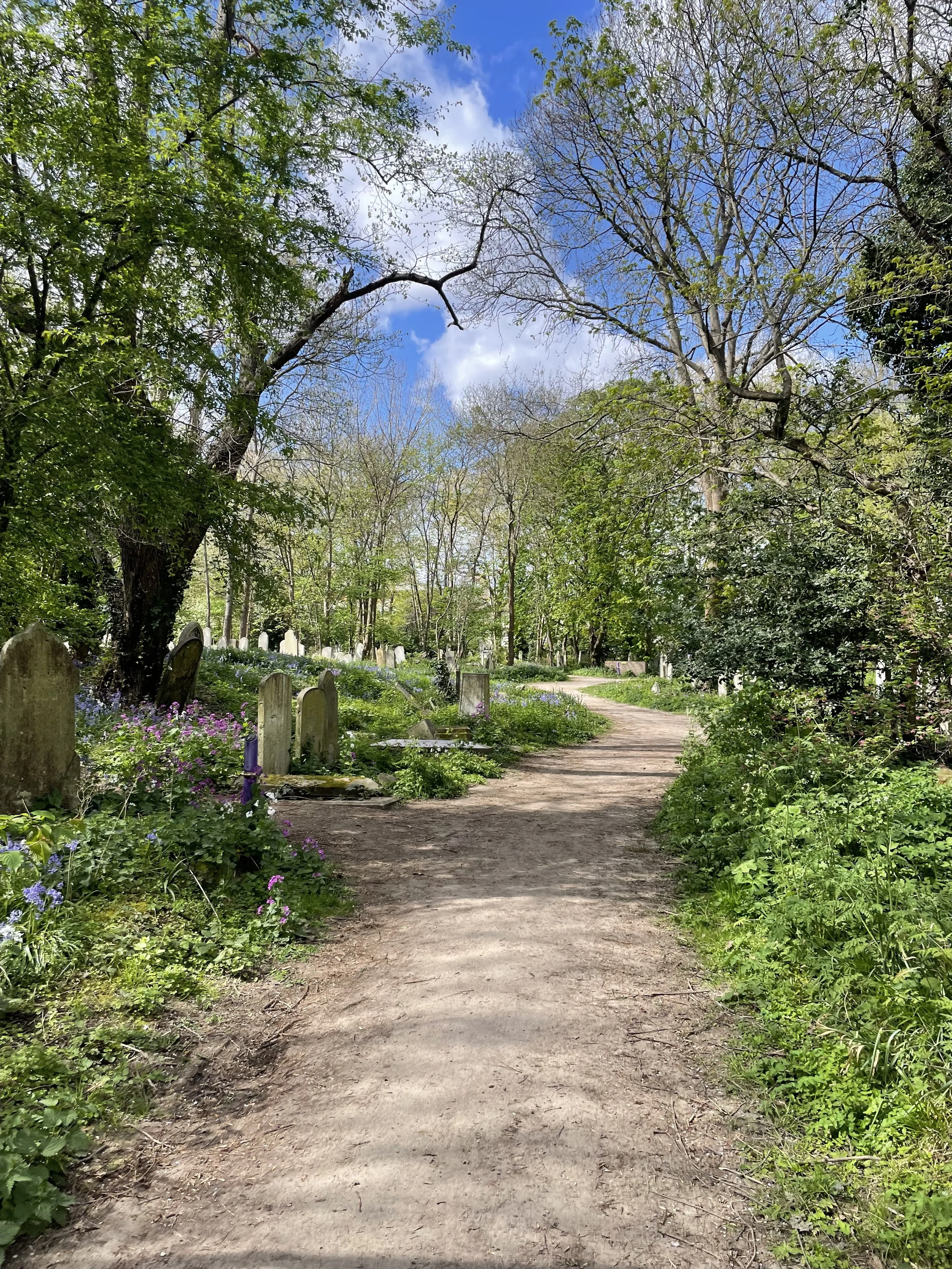 A dirt walking path through a lush, green wooded area with trees on both sides, some with budding leaves and others still bare, under a partly cloudy blue sky.