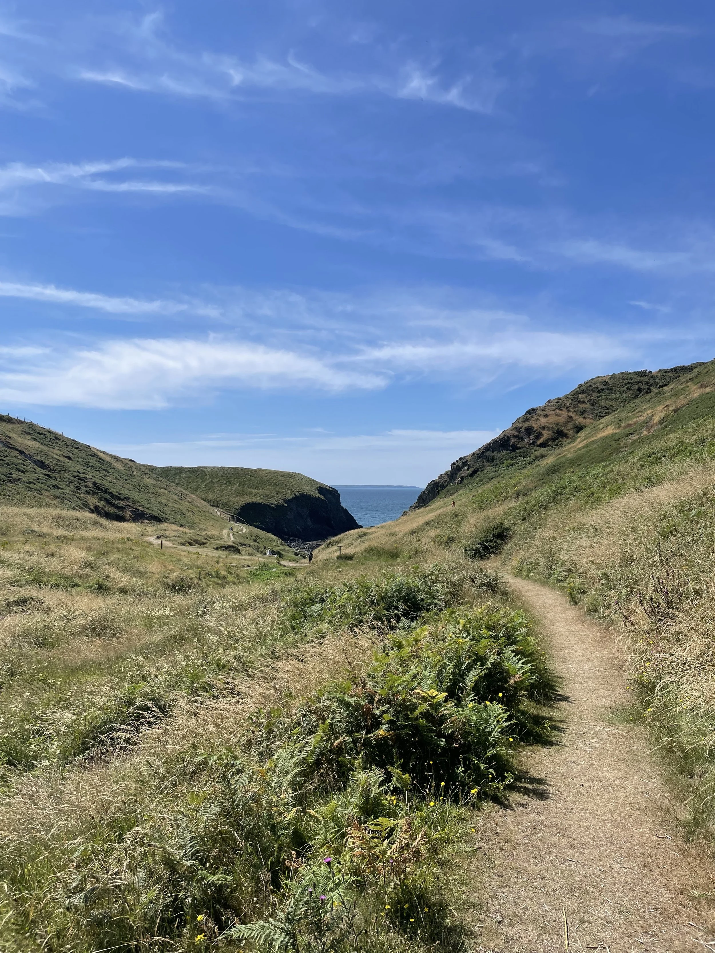 A scenic coastal landscape with a narrow dirt trail leading between green hills on either side and overlooking the ocean in the distance under a bright blue sky with some wispy clouds.