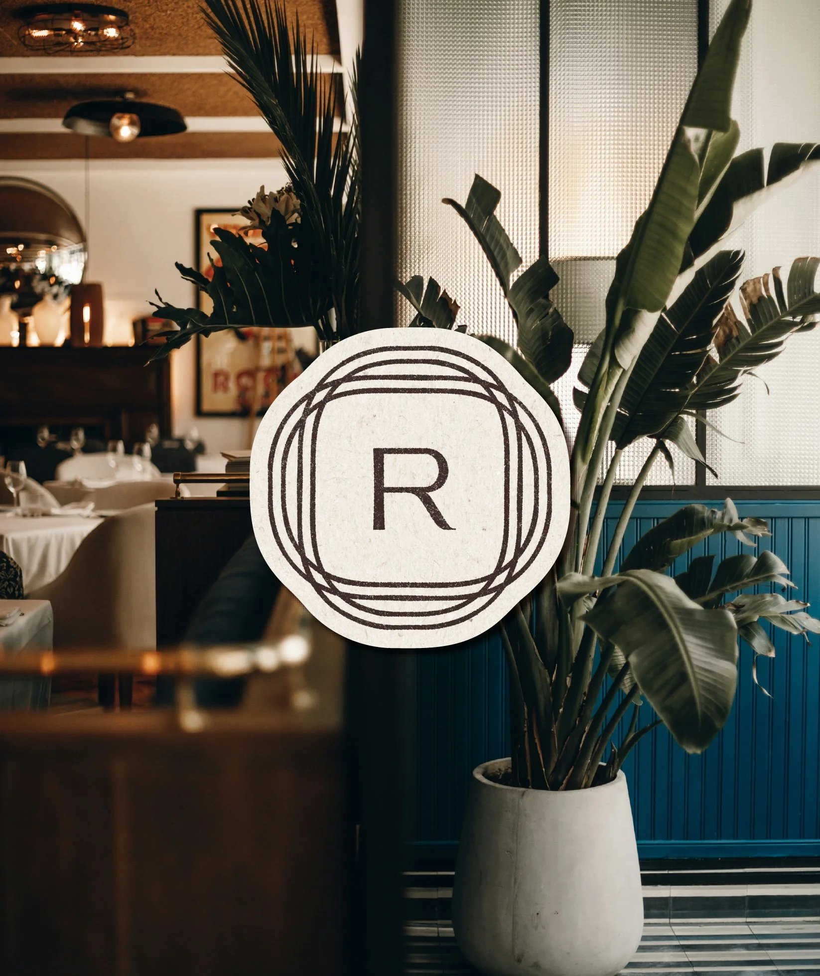 Une grande plante verte en pot blanc avec un logo, réalisation graphique du studio Hello Jane