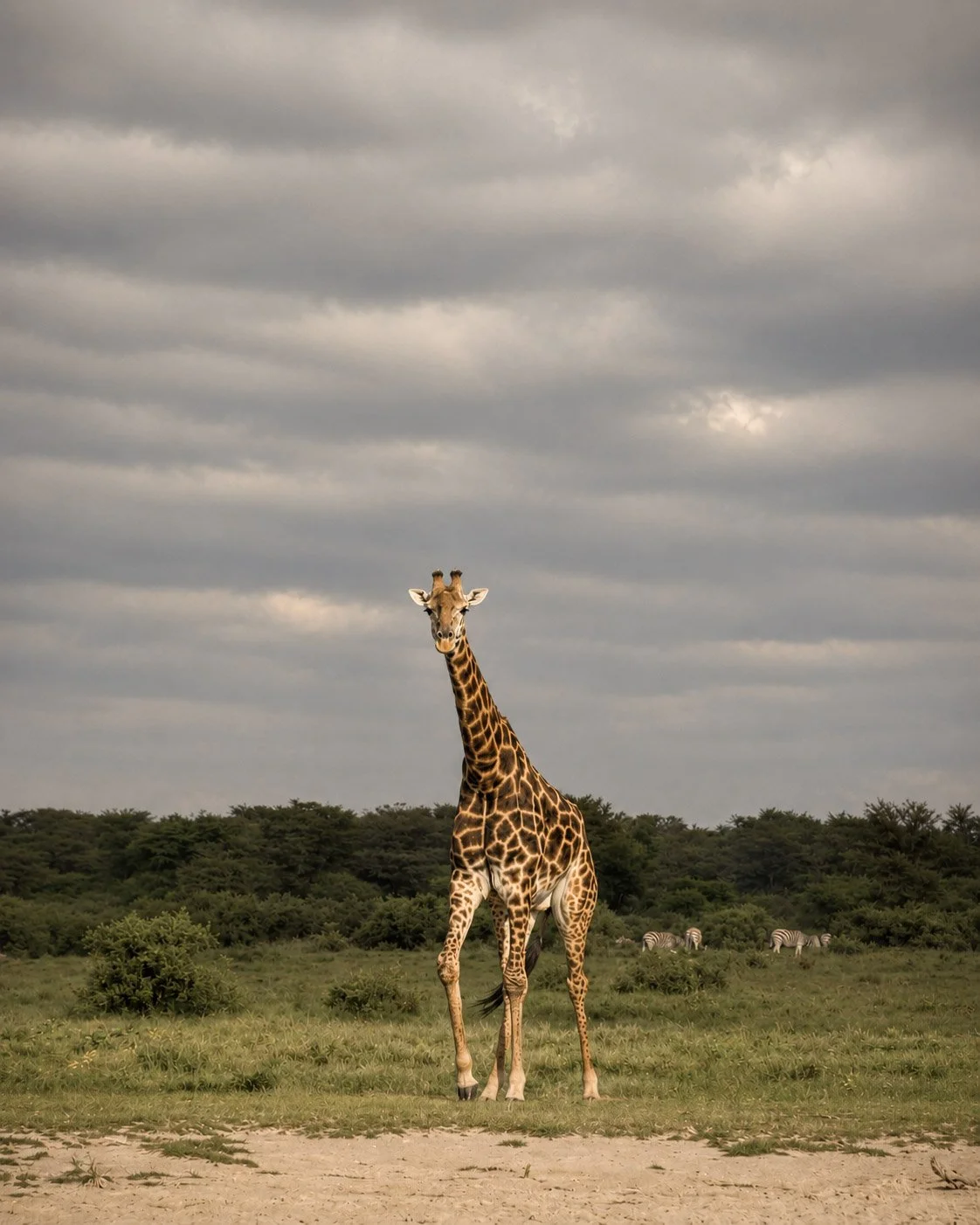 botswana.jpg