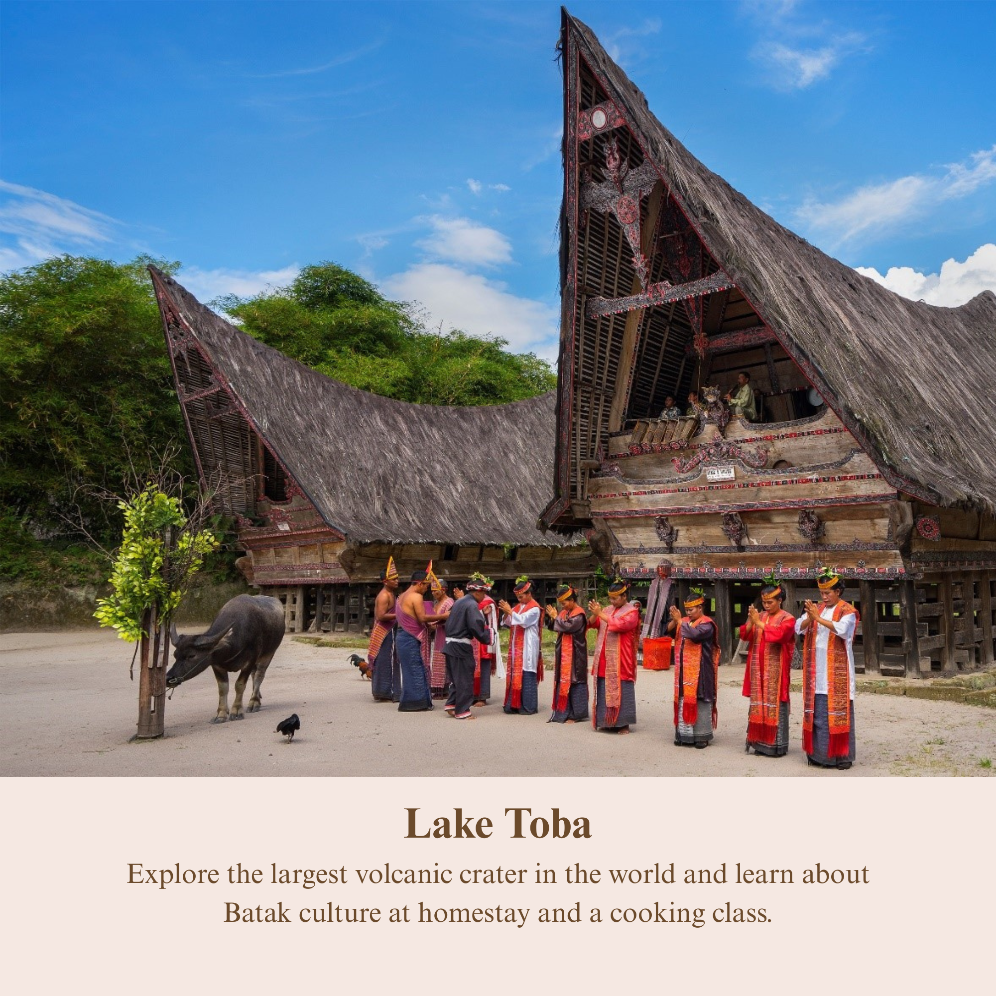 Lake to be activity card.PNG