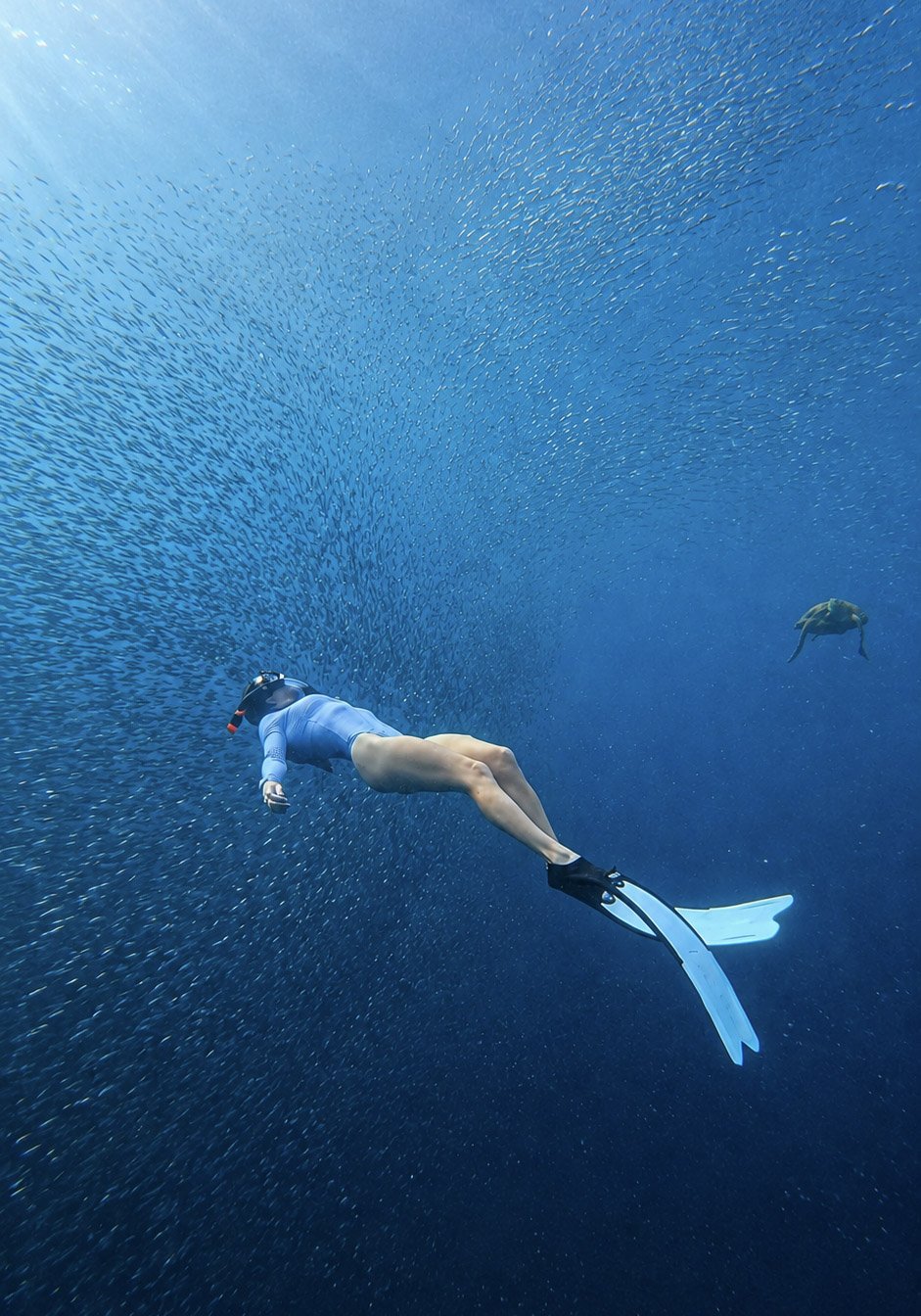 free diving.jpg