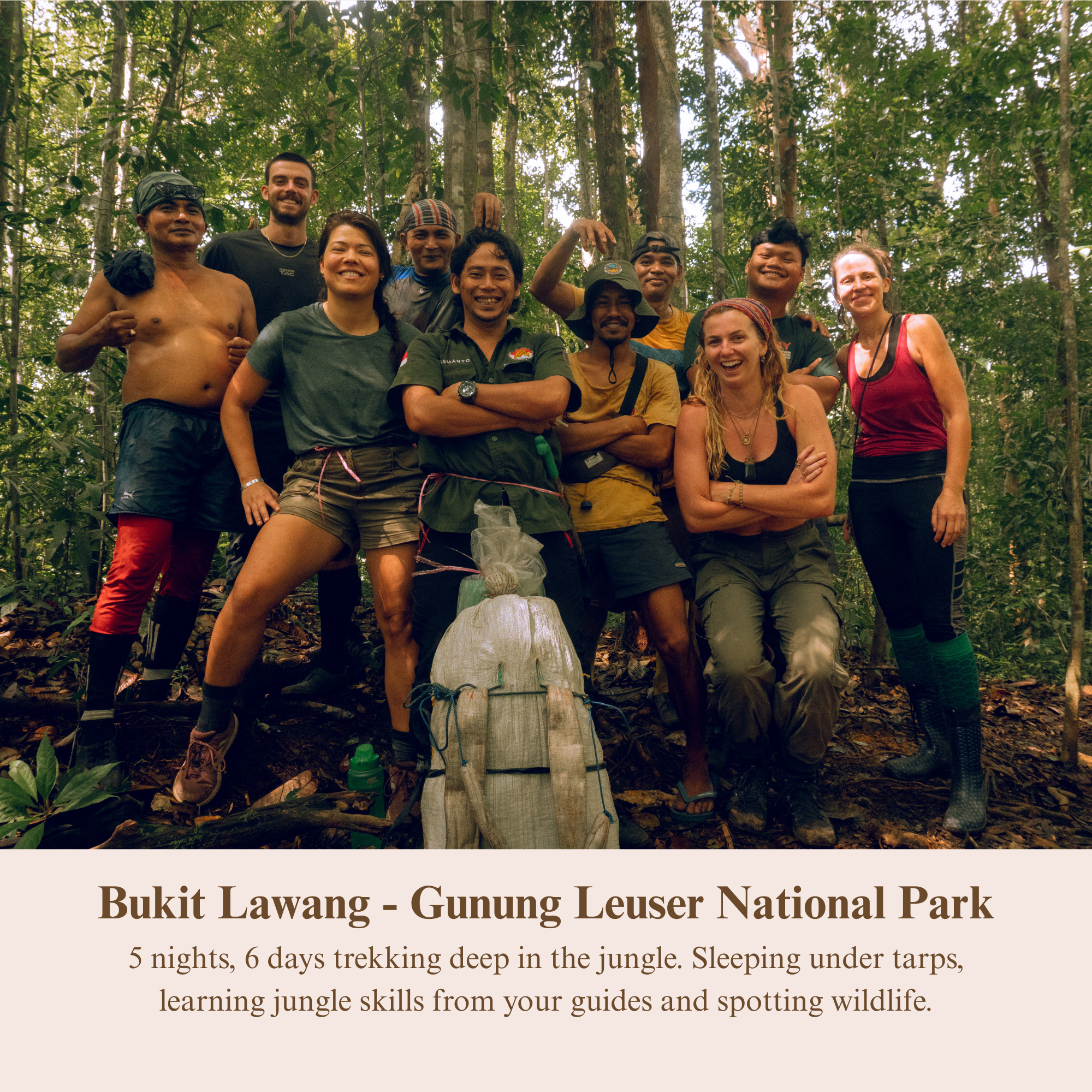 Bukit lawang activity card.PNG