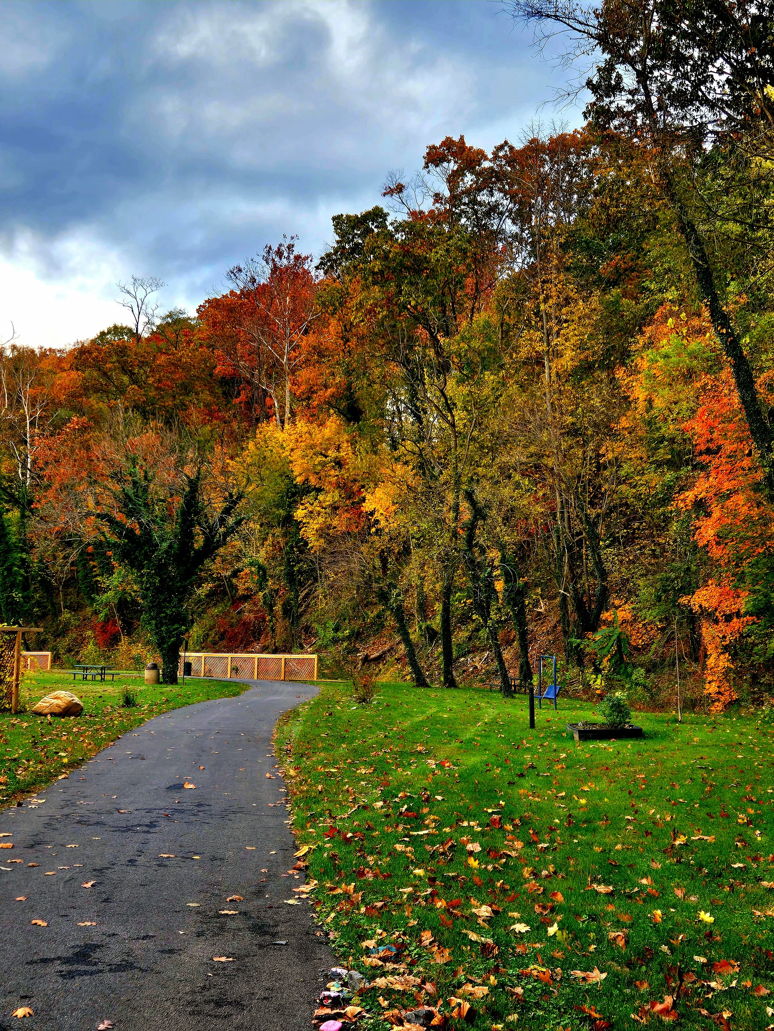 A park pathway winding past a grassy area with fallen autumn leaves, surrounded by trees with colorful fall foliage, under a cloudy sky.