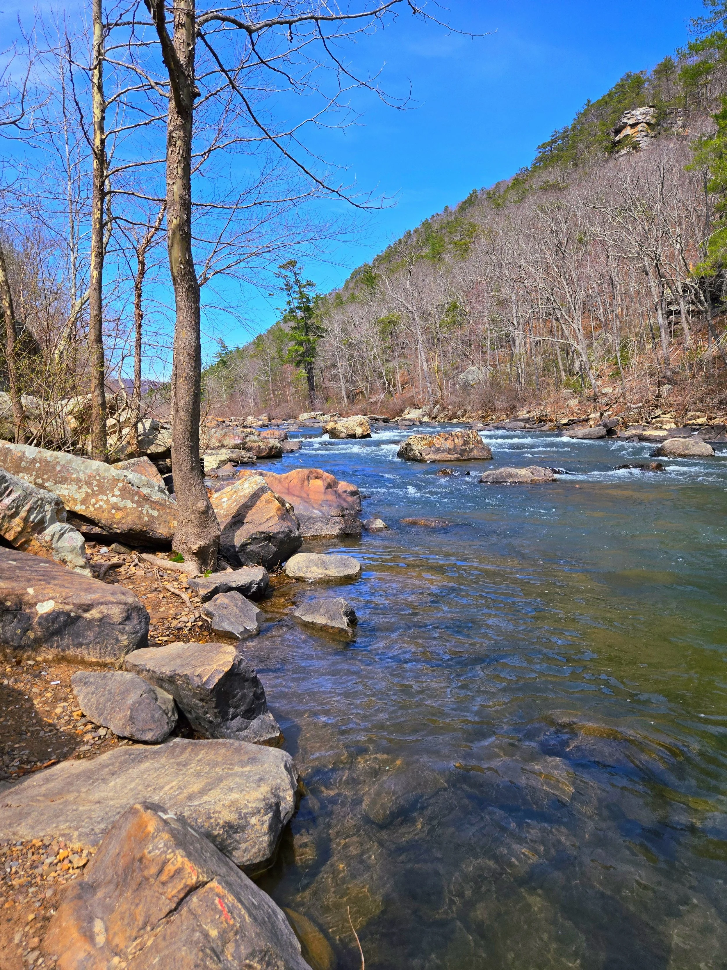 A river flowing through a rocky and wooded area with a hillside on the right, some trees are leafless, and the sky is clear and blue.