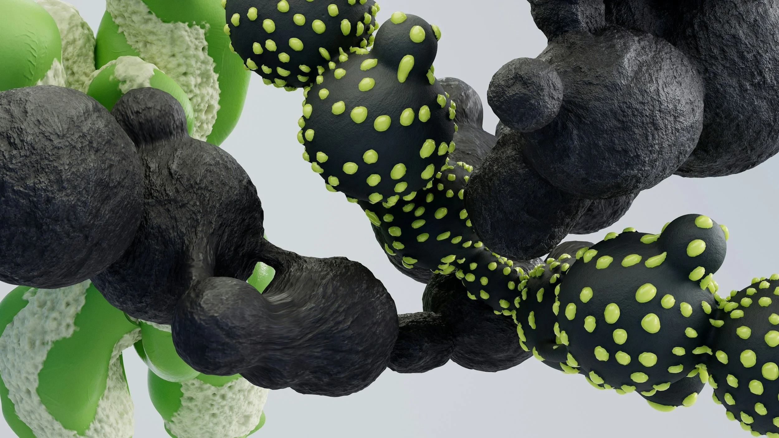 What Are Mycotoxins, and Should Florida Homeowners Be Concerned?