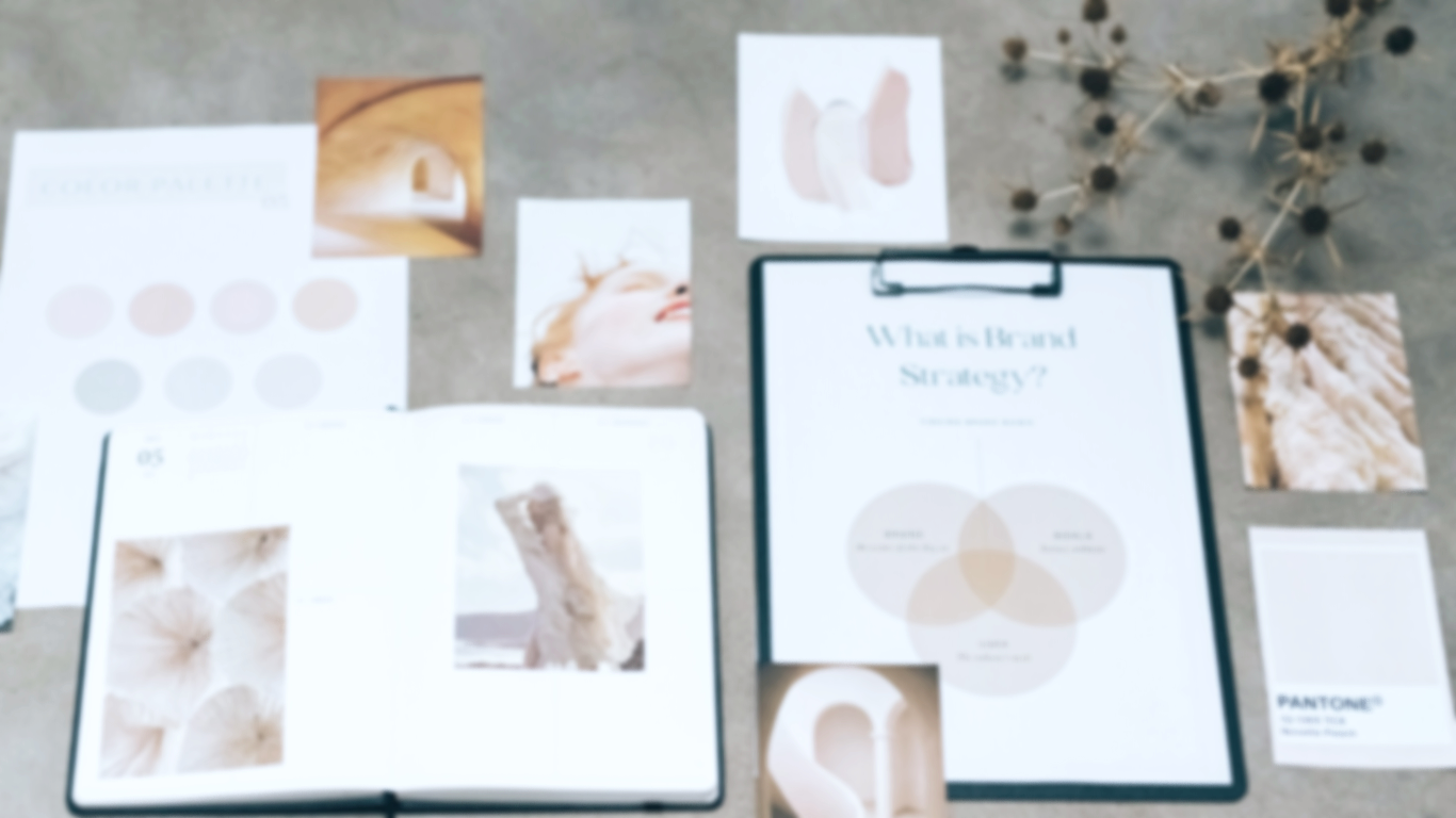 Brand color palette and identiy