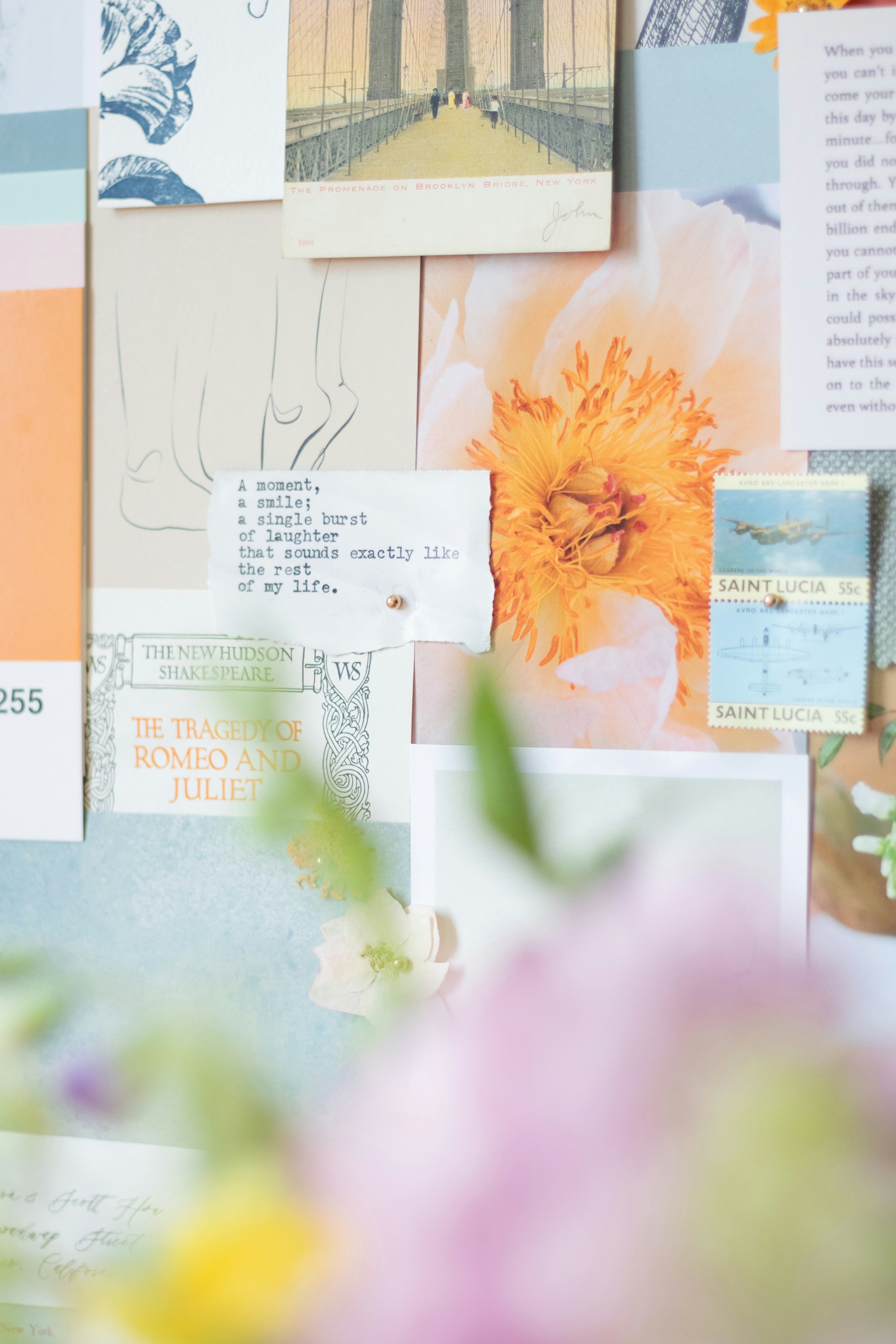 Colorful Mood board representing brand colors 