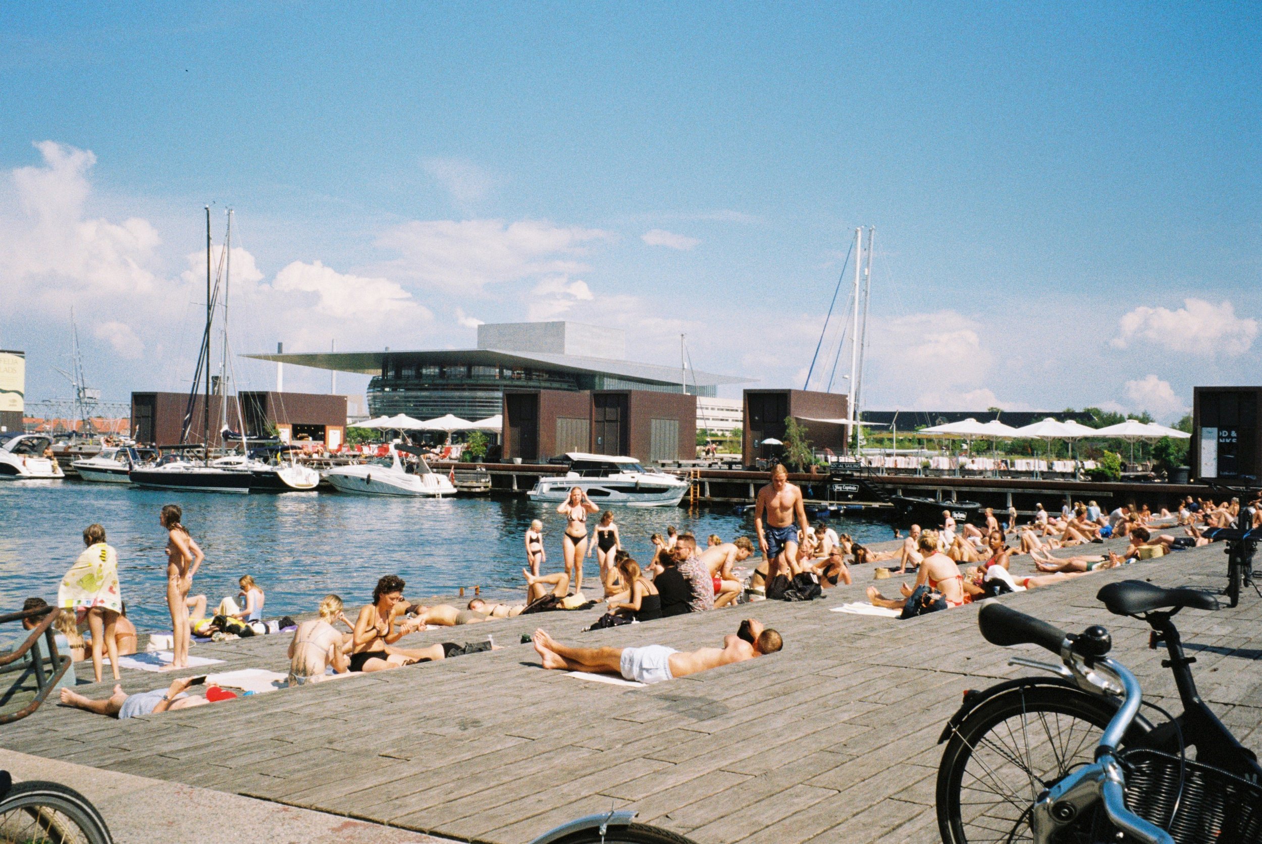 Free Consultation with Me