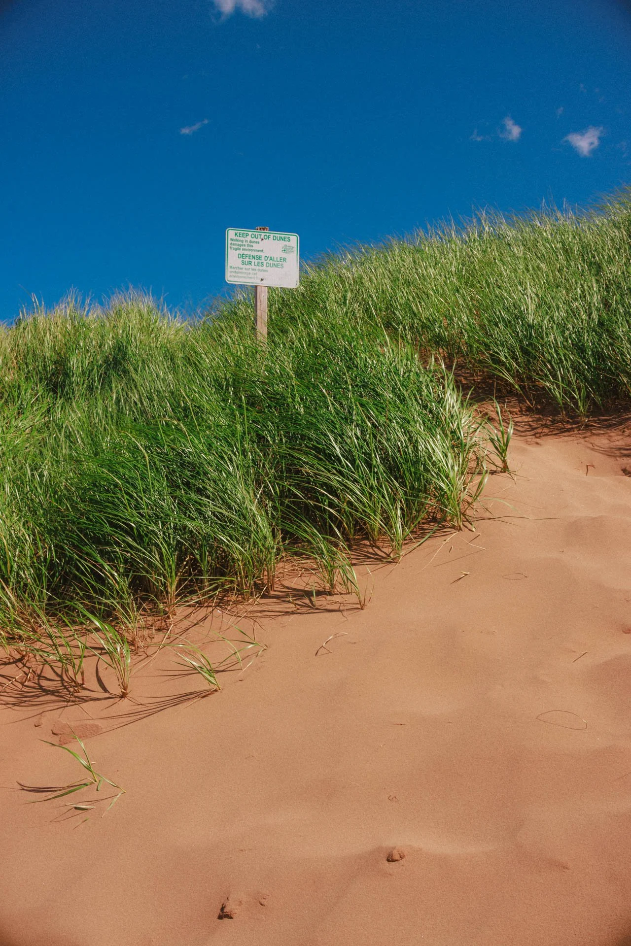 Thunder Cove Beach, Prince Edward Island