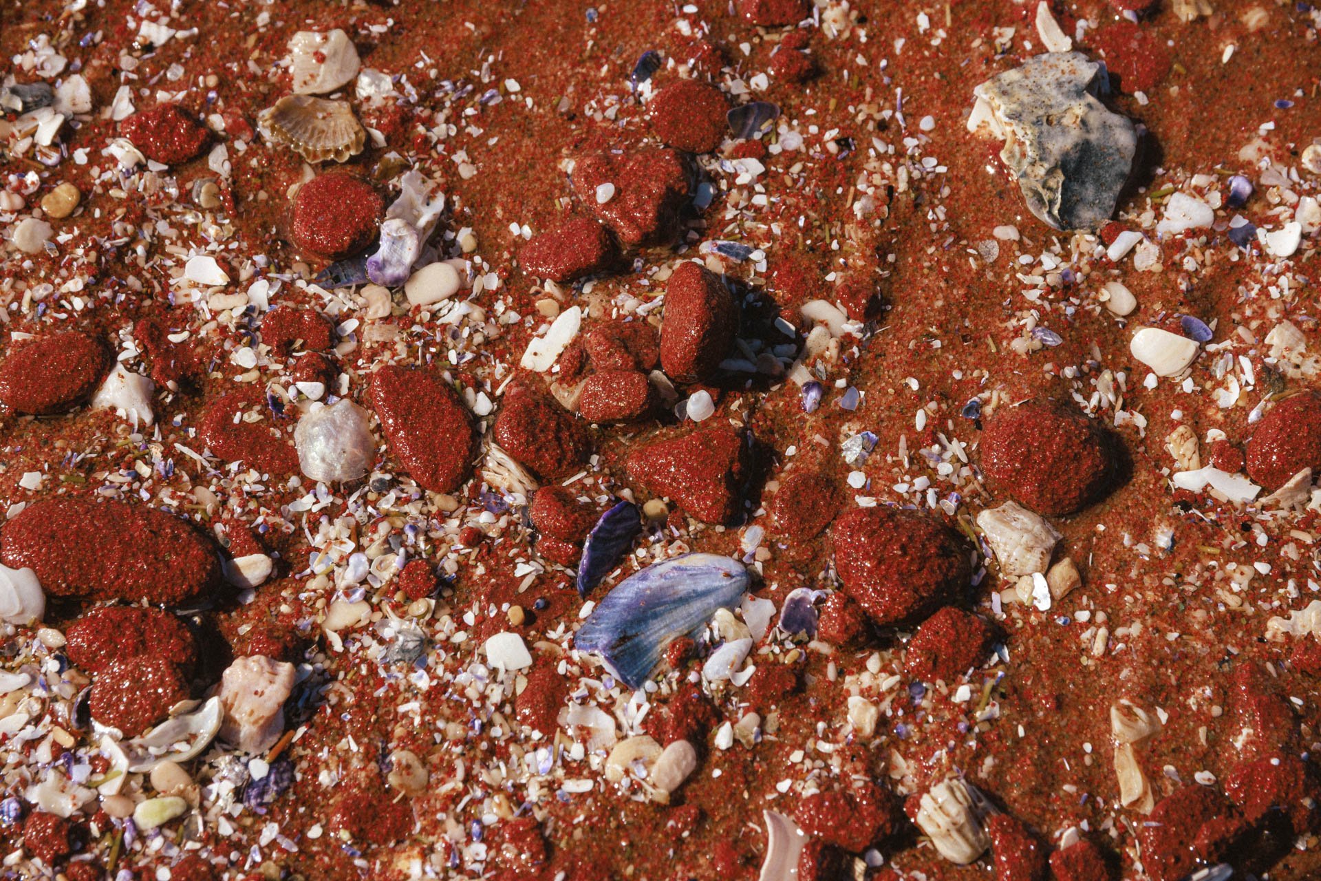 Thunder Cove Beach, Prince Edward Island