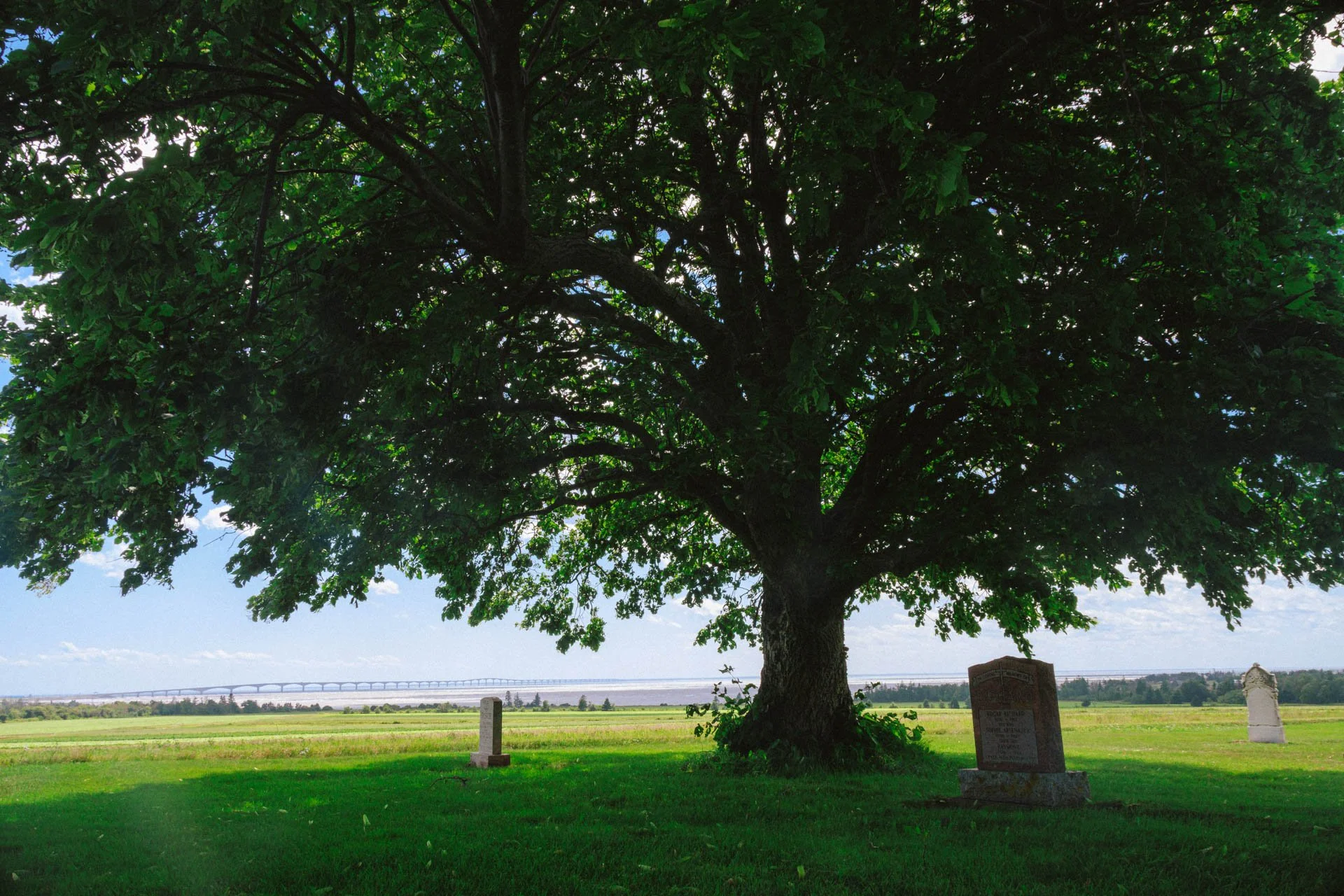 AG Landscapes 025.jpg