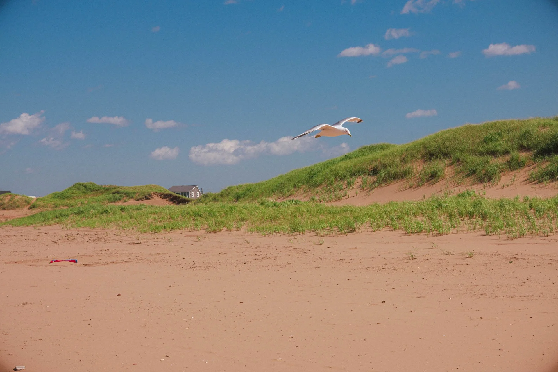 Thunder Cove Beach, Prince Edward Island