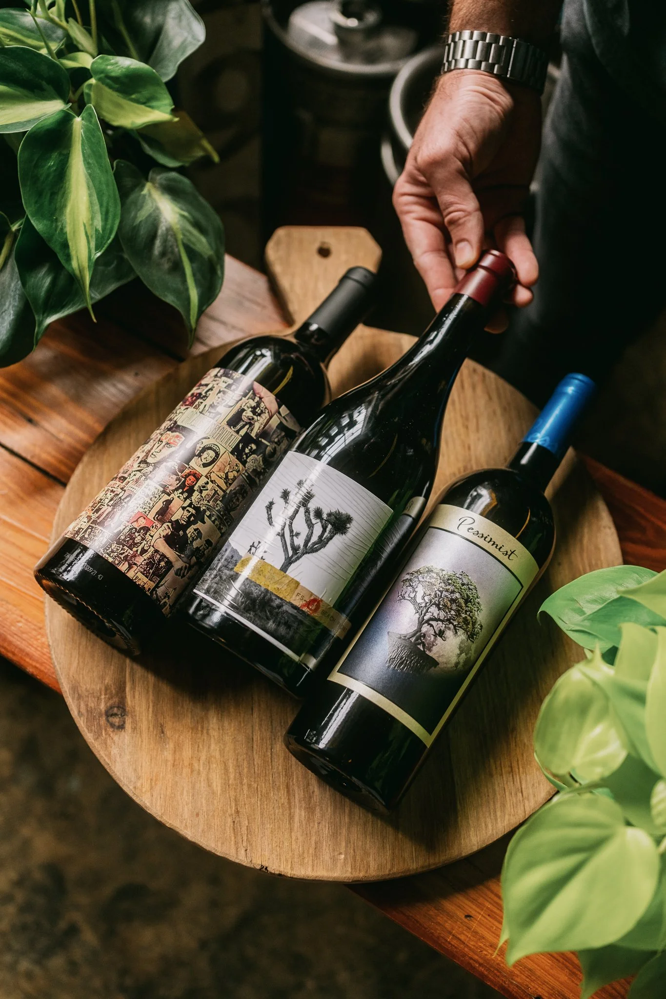Three bottles of wine with artistic labels on a wooden surface, partially surrounded by green plants.