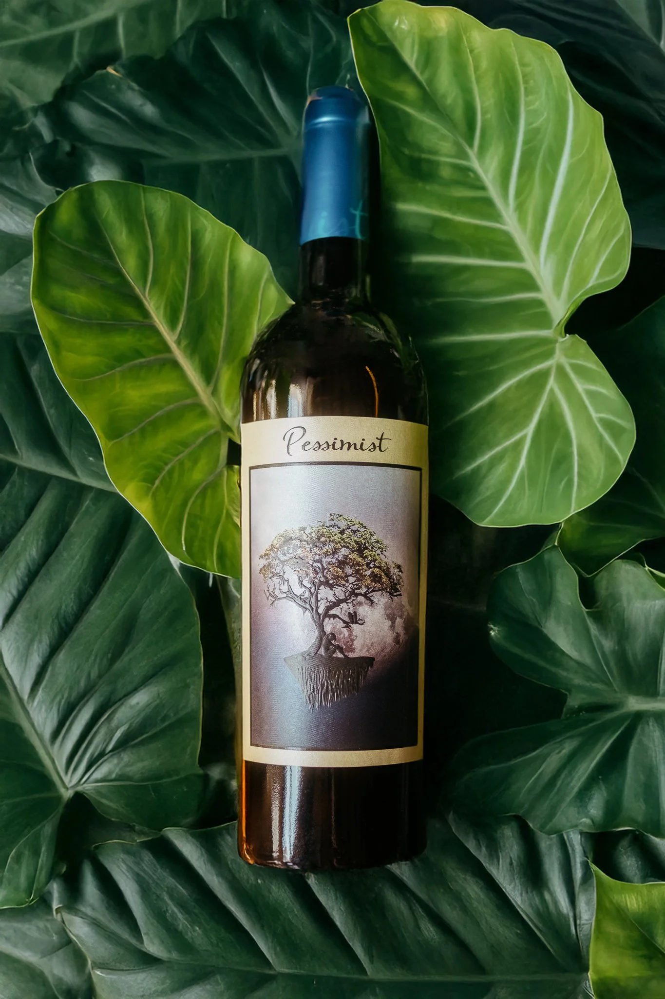 A wine bottle labeled 'Pessimist' surrounded by large green tropical leaves.