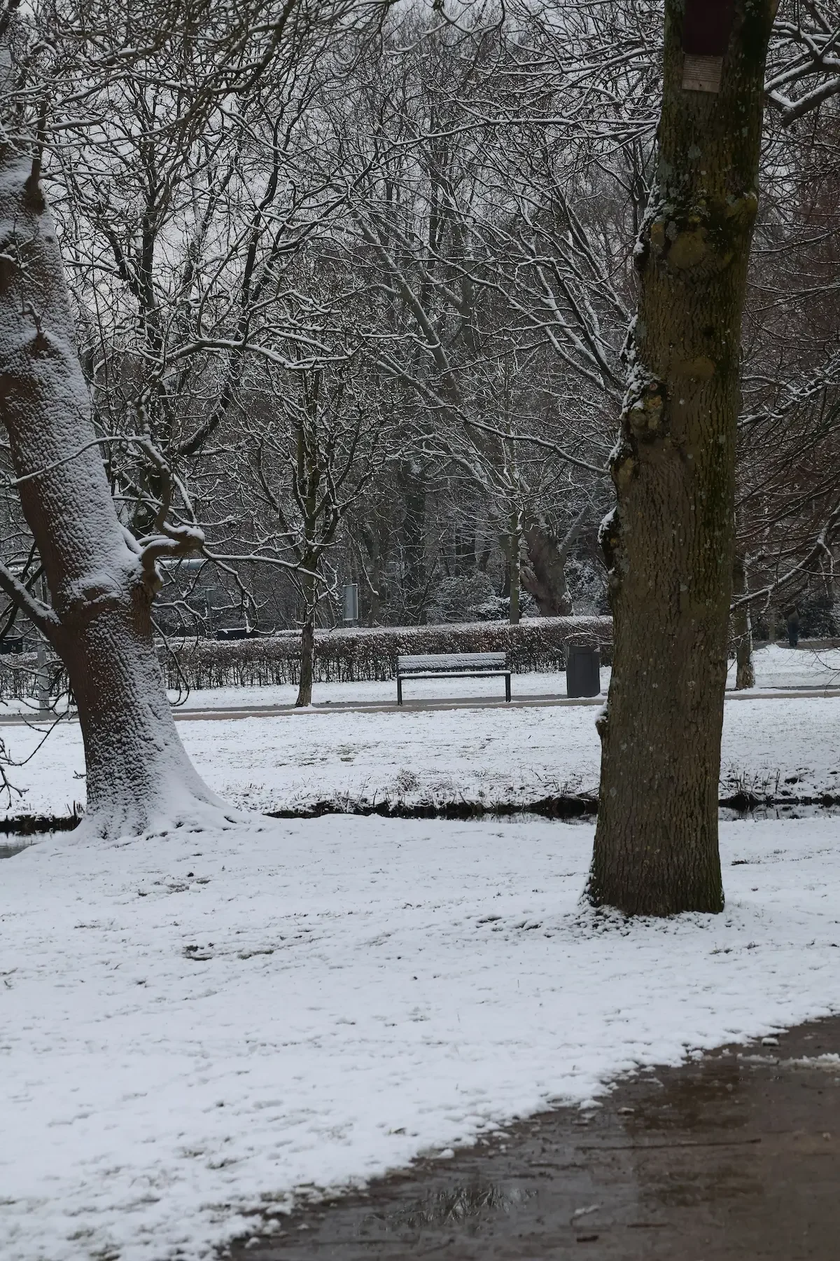 Empty bench Amsterdam park winter, limited edition fine art photography print signed numbered