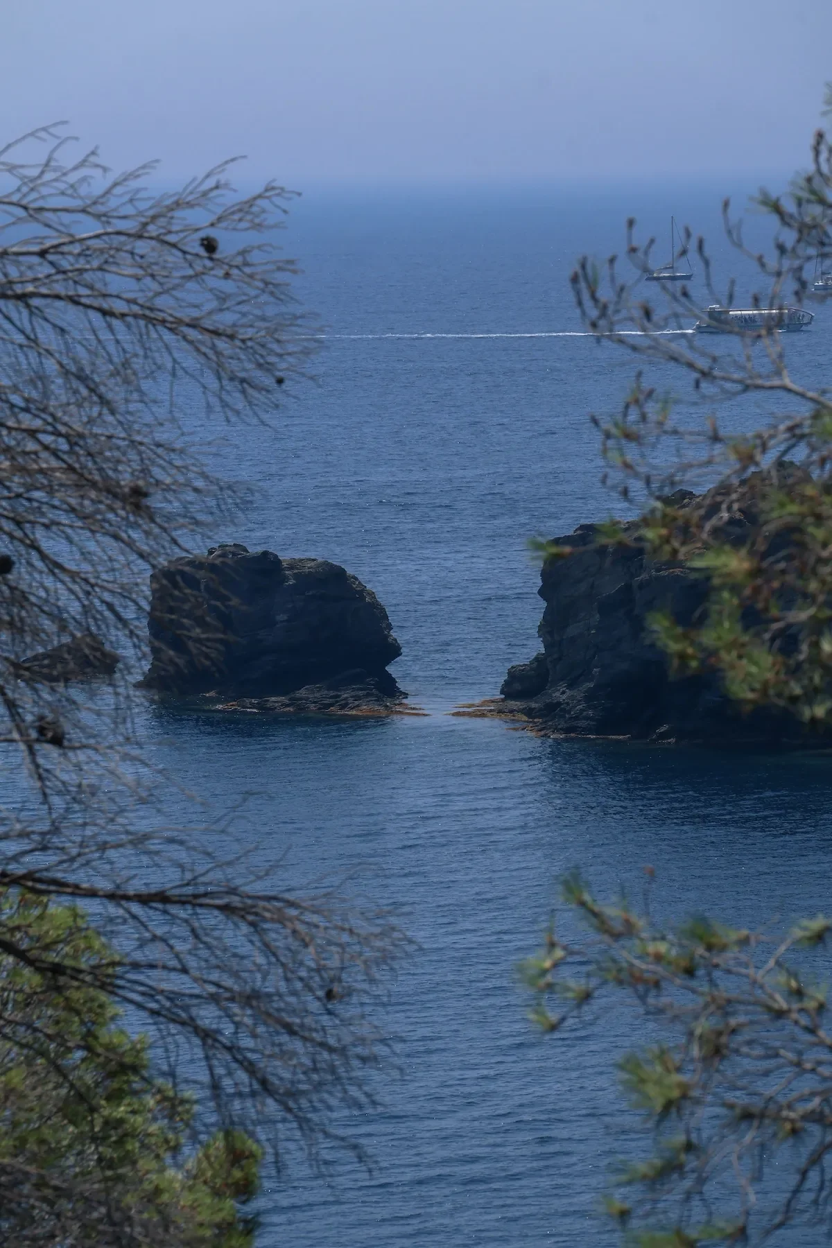 How to Start a Fine Art Photography Collection — A Guide for New Collectors