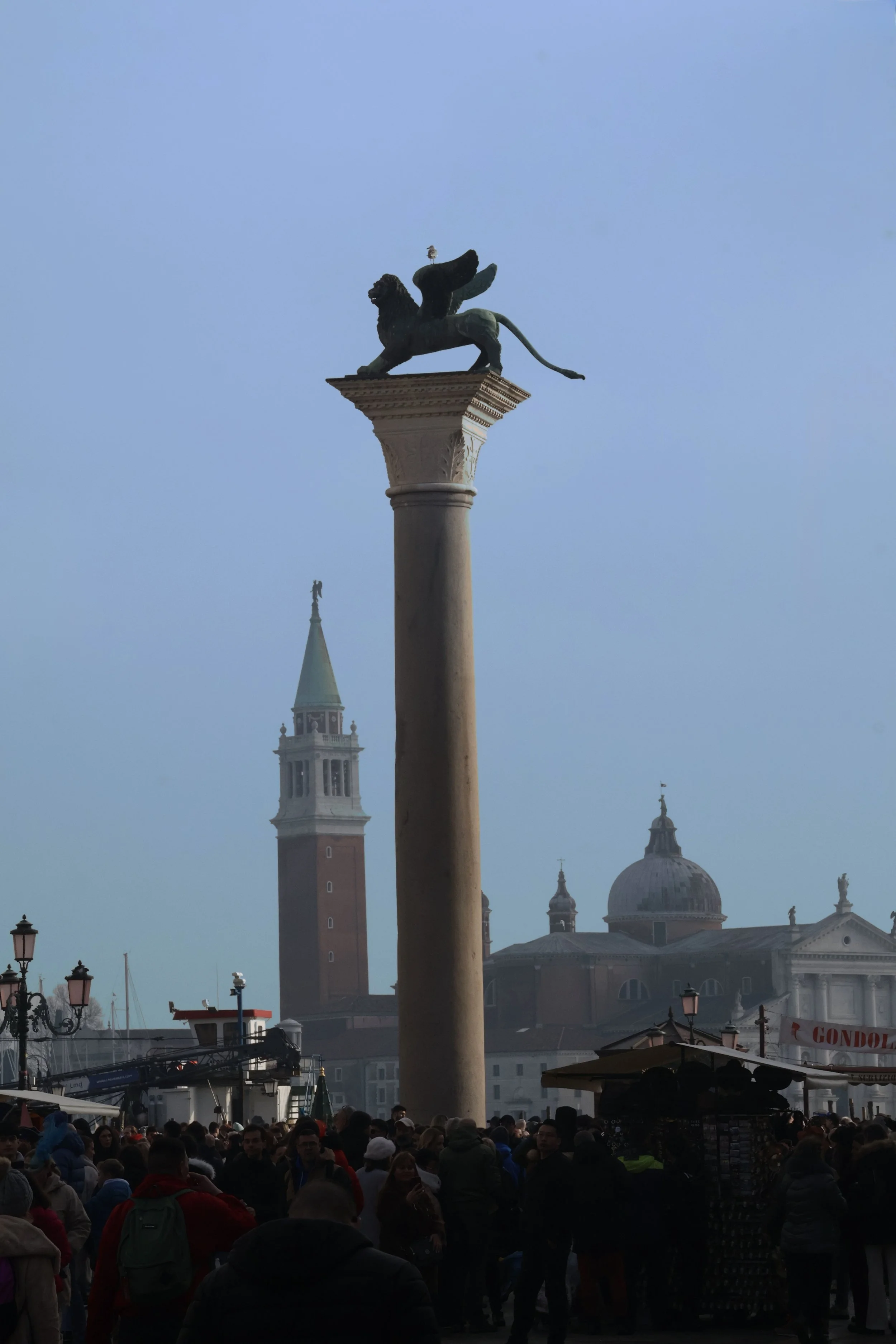 The Indifferent Lion