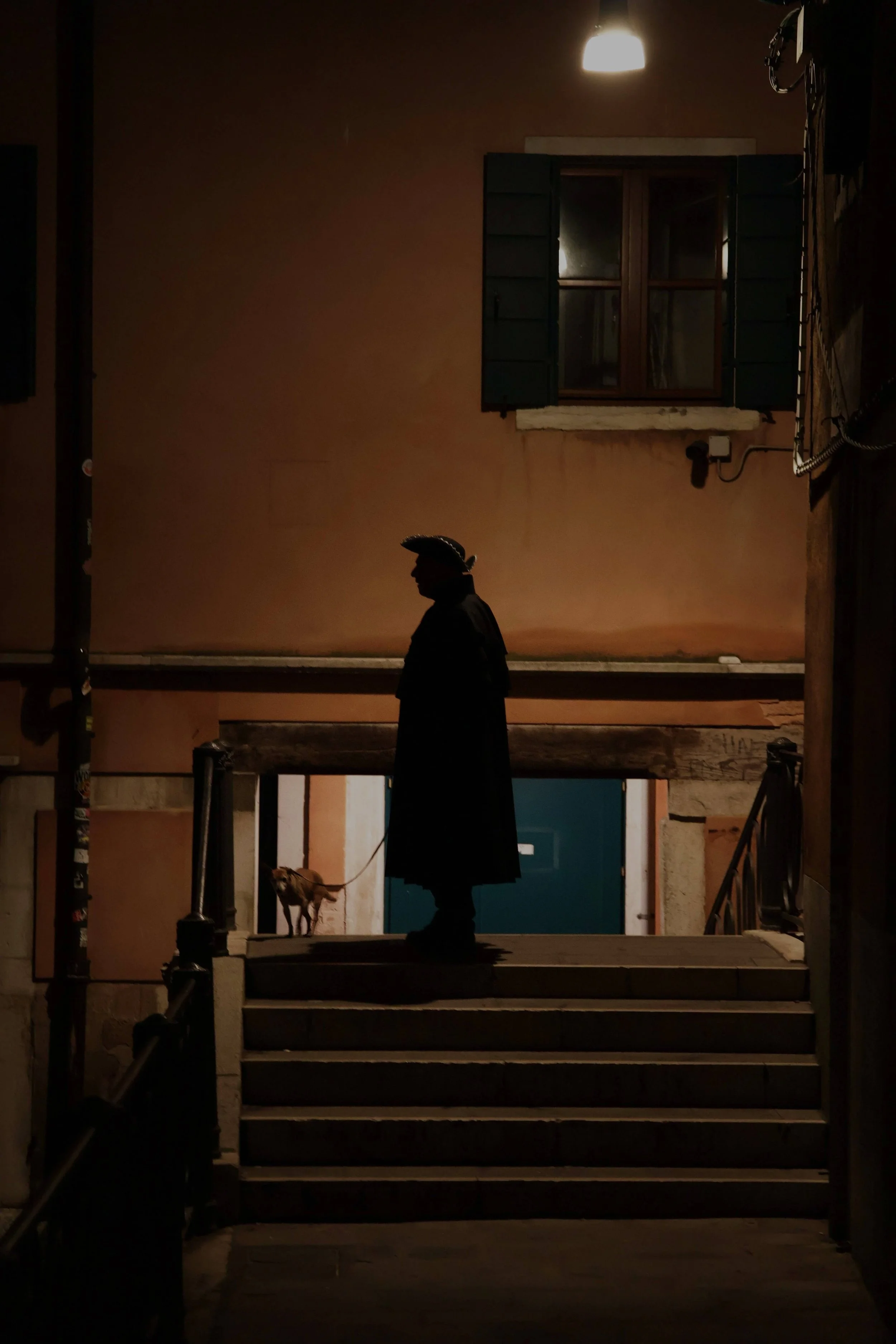 The Coat And The Dog