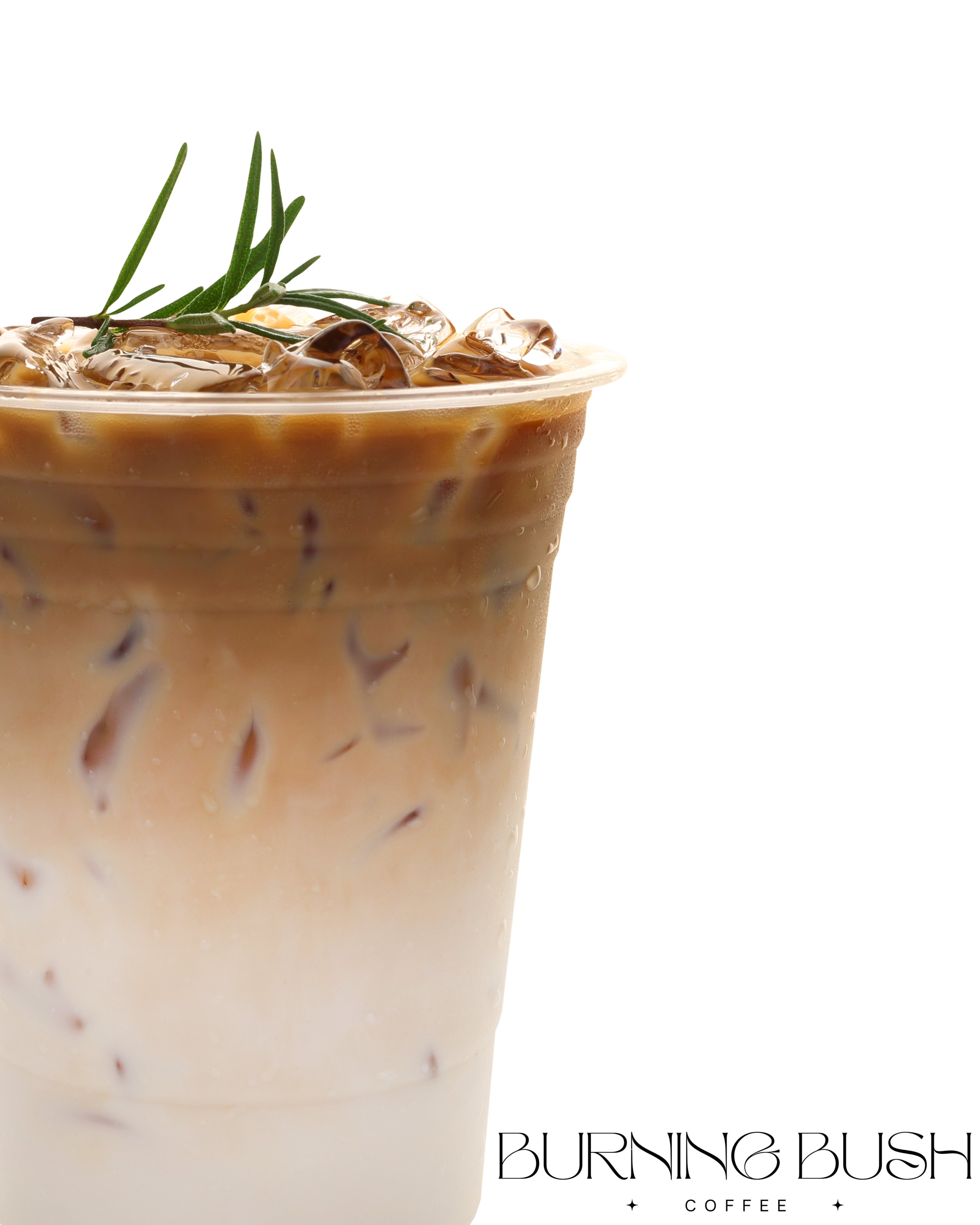 A glass of iced coffee with milk, ice cubes, and a sprig of rosemary on top