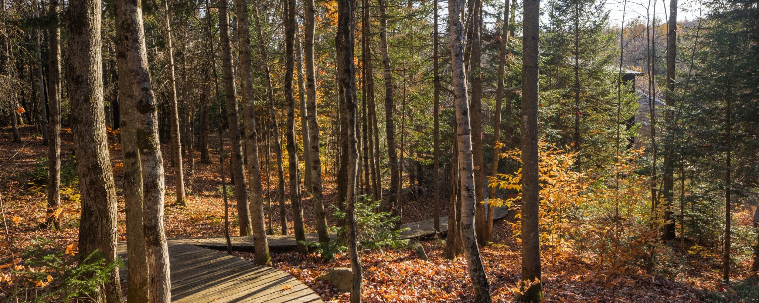 _DSC0625-Panorama.jpg