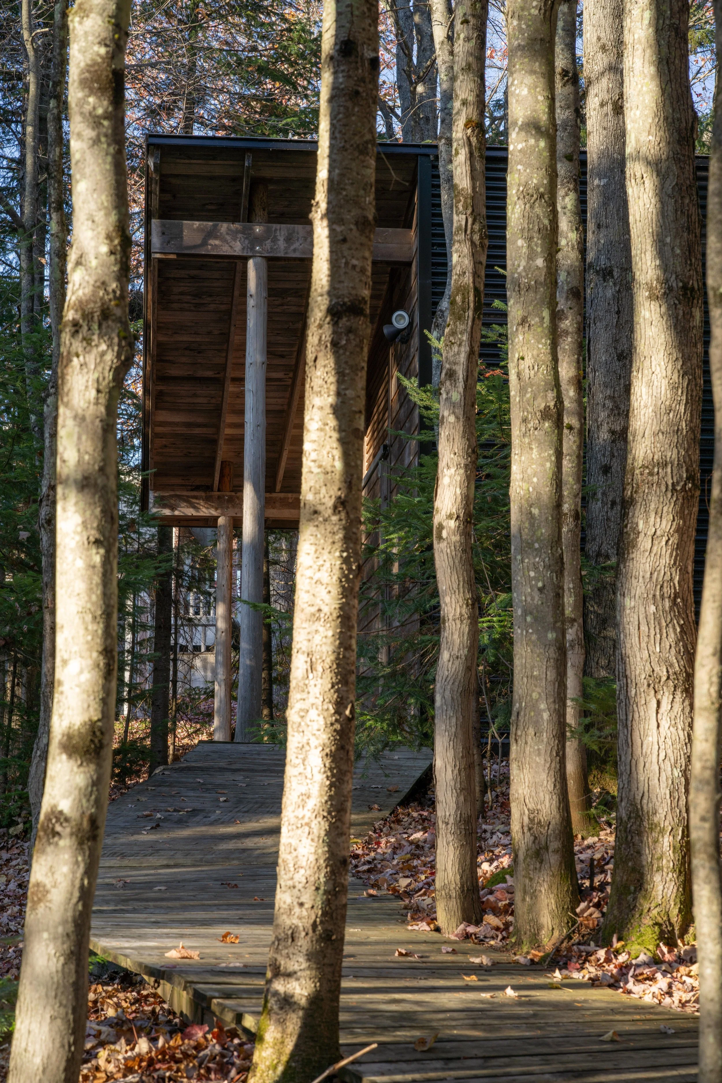 _DSC0668.jpg