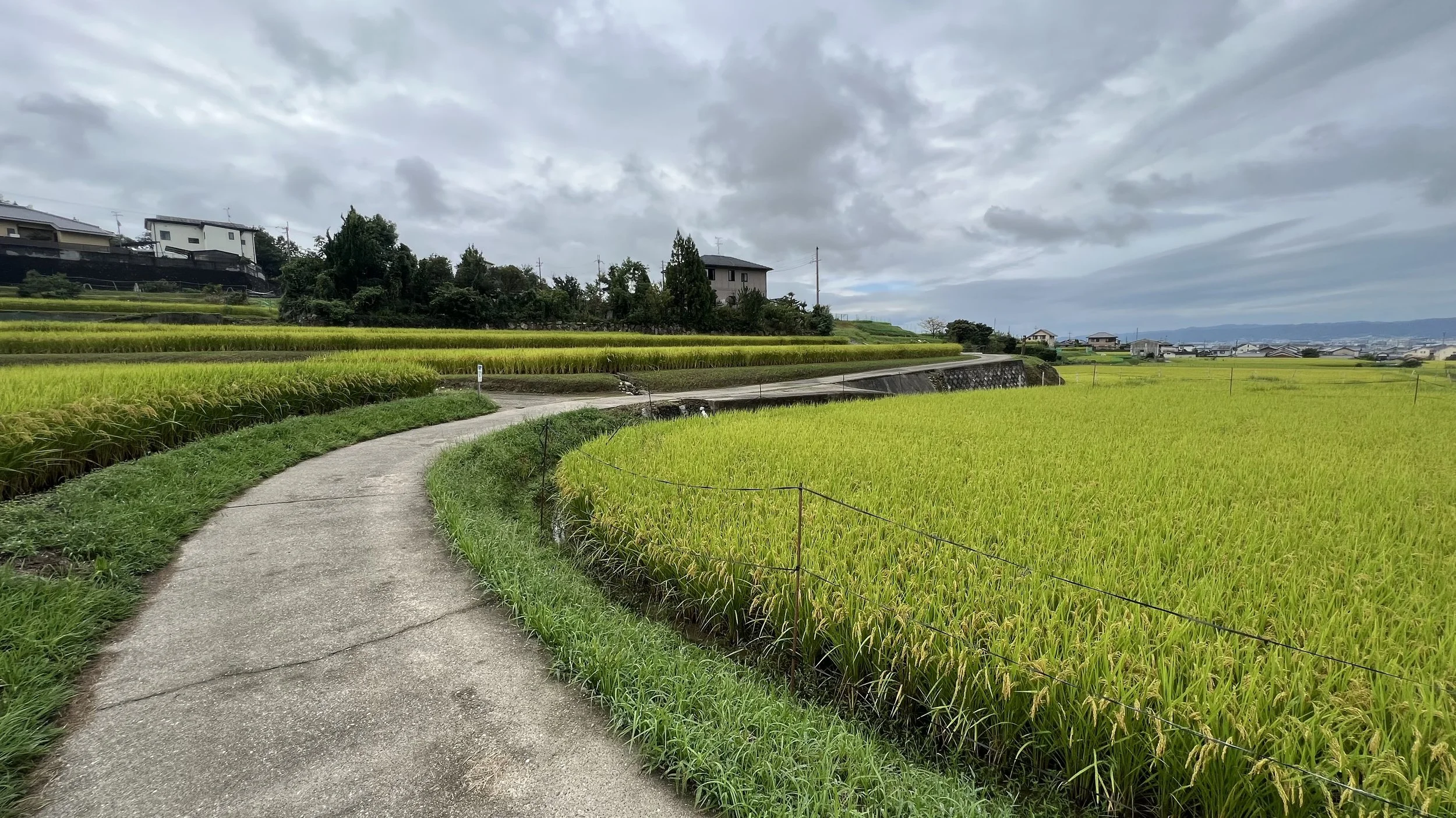 Tennō II: Two Basins - The Imagination of Governance