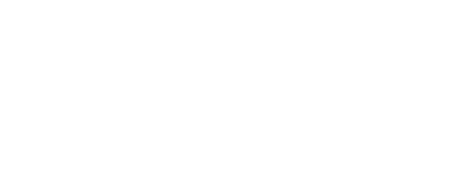 casillero del diablo.png